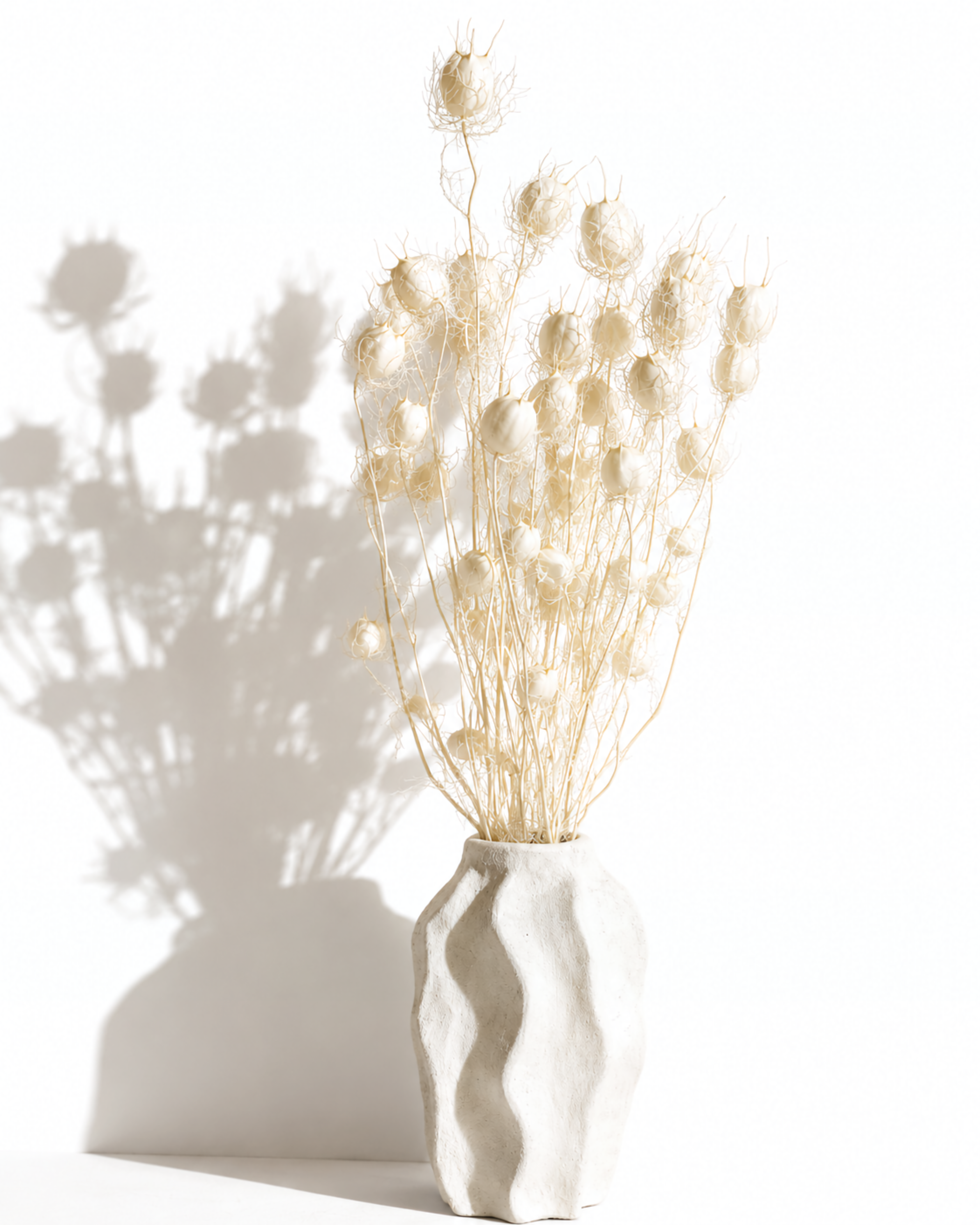Tall bundle of dried natural white Nigella stems in a white ceramic vase with subtle shadows.
