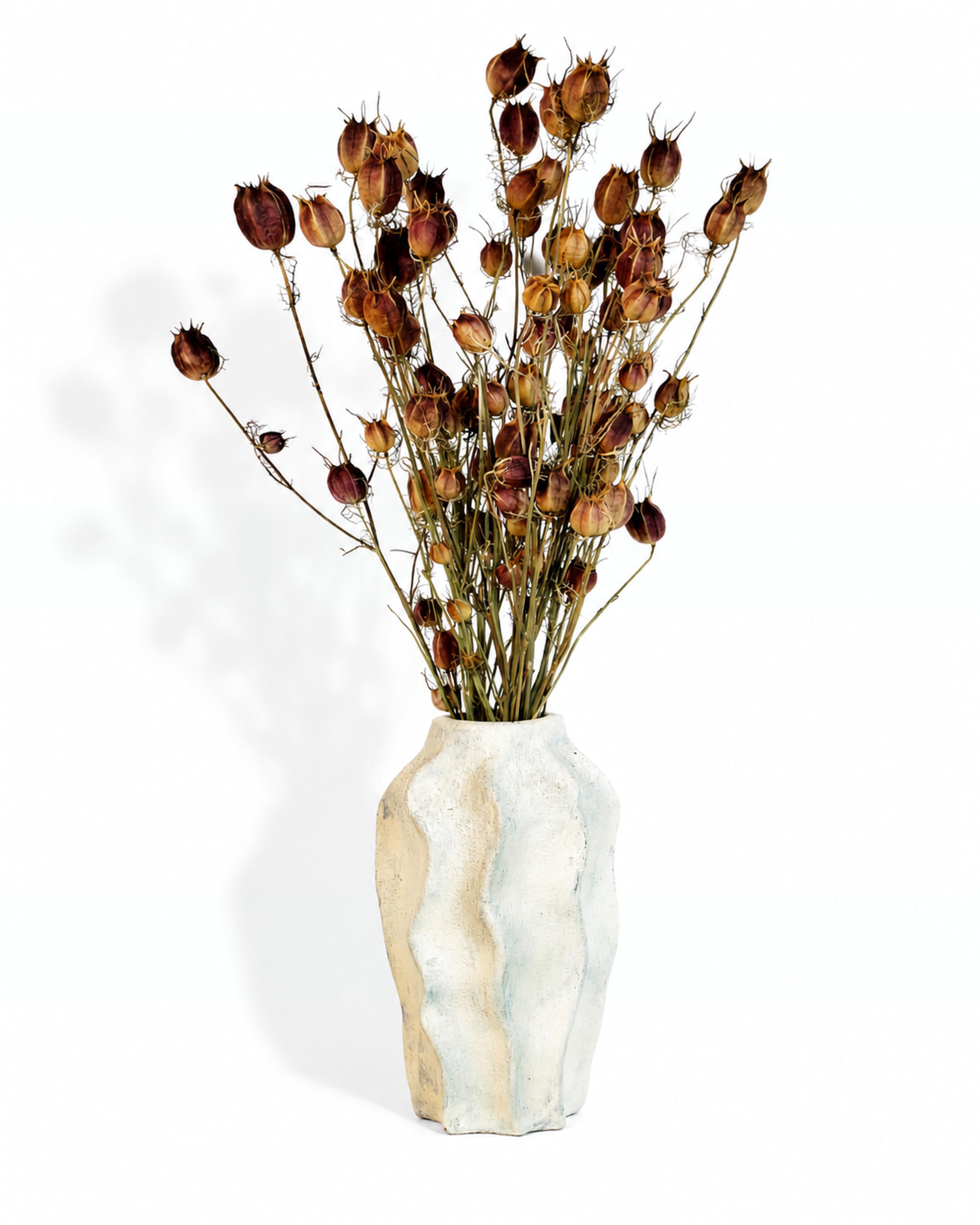 Natural dried Nigella Damascena seed pod stems arranged in a textured white ceramic vase on a clean background.

