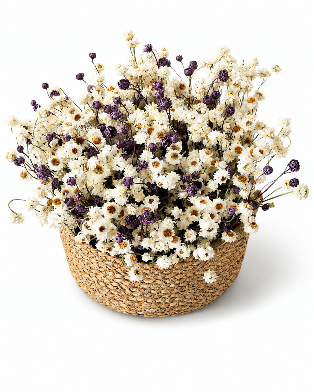 Ammobium & Lavender Basket