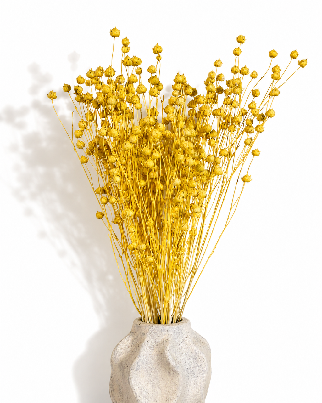 Yellow Dried Flax Stems