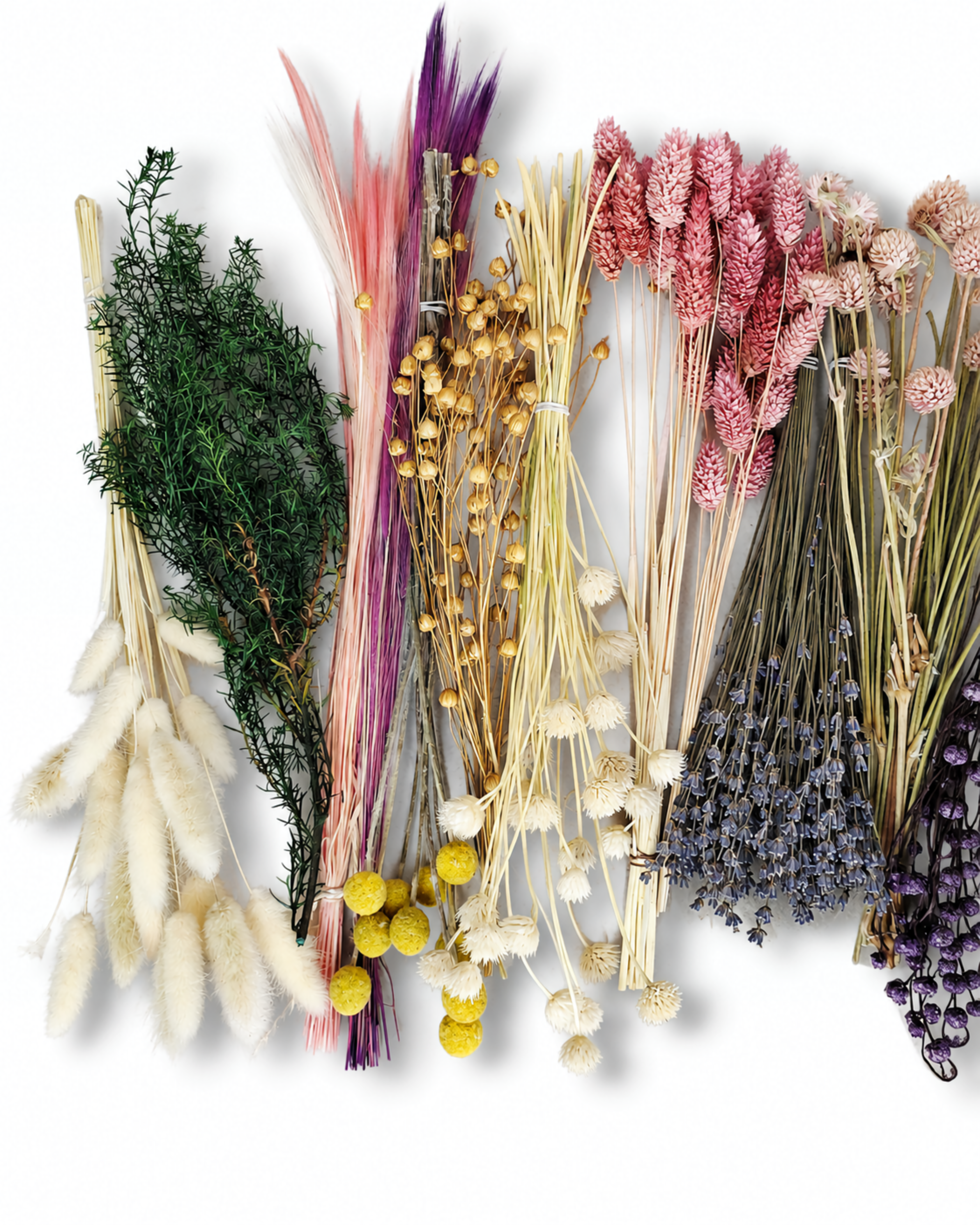 Pastel Dried Flower Box for Crafts