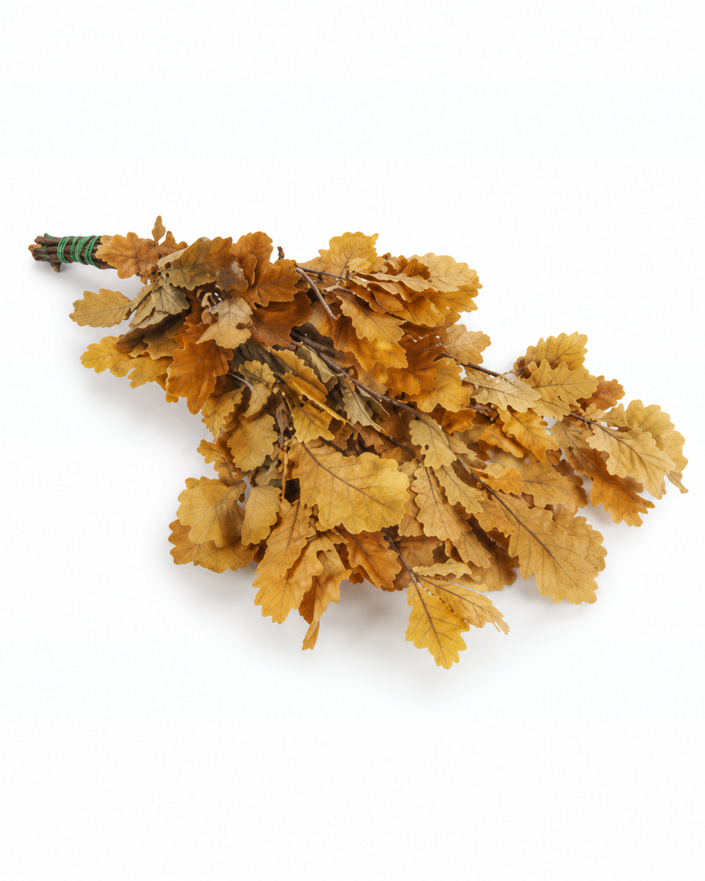 Bright light grass green preserved reindeer moss cluster isolated on white background.
