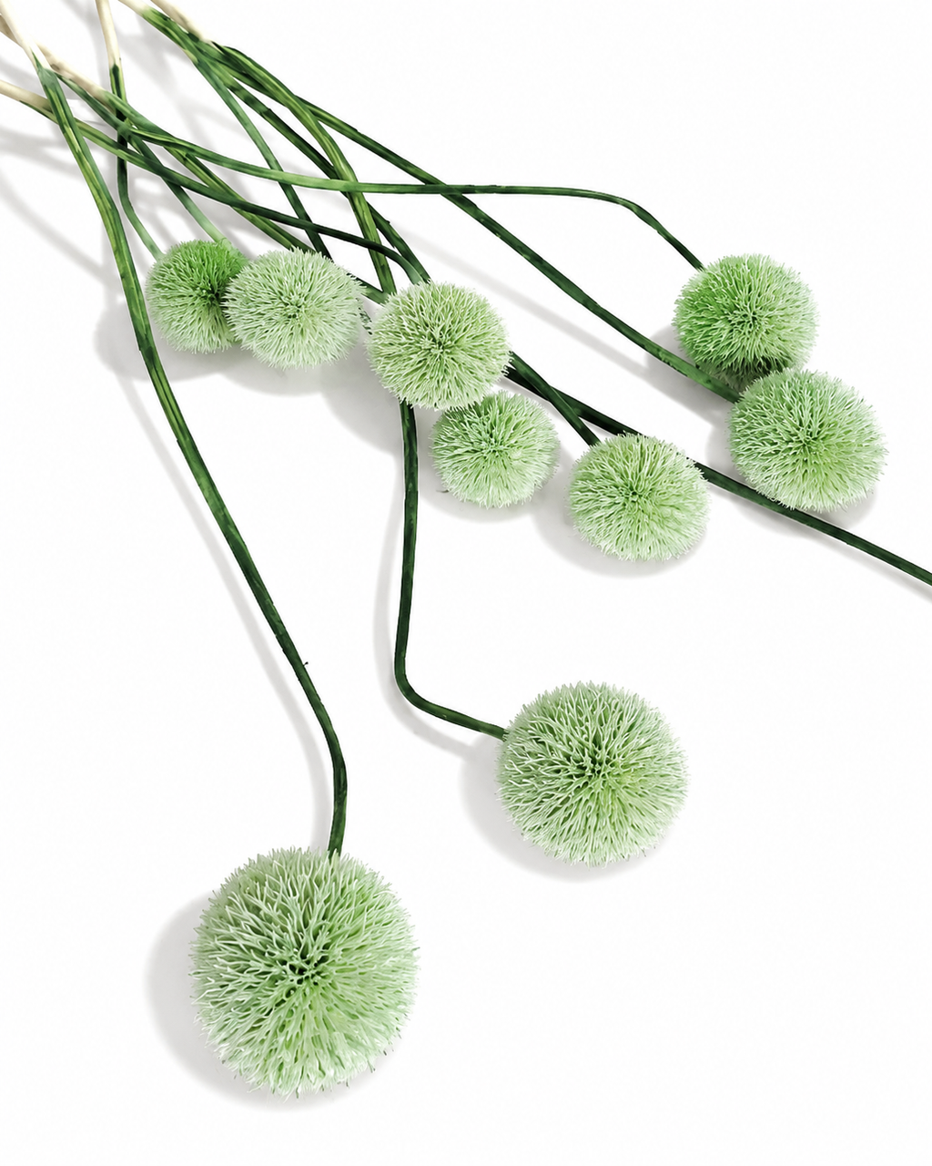 Green Globe Thistle Stems