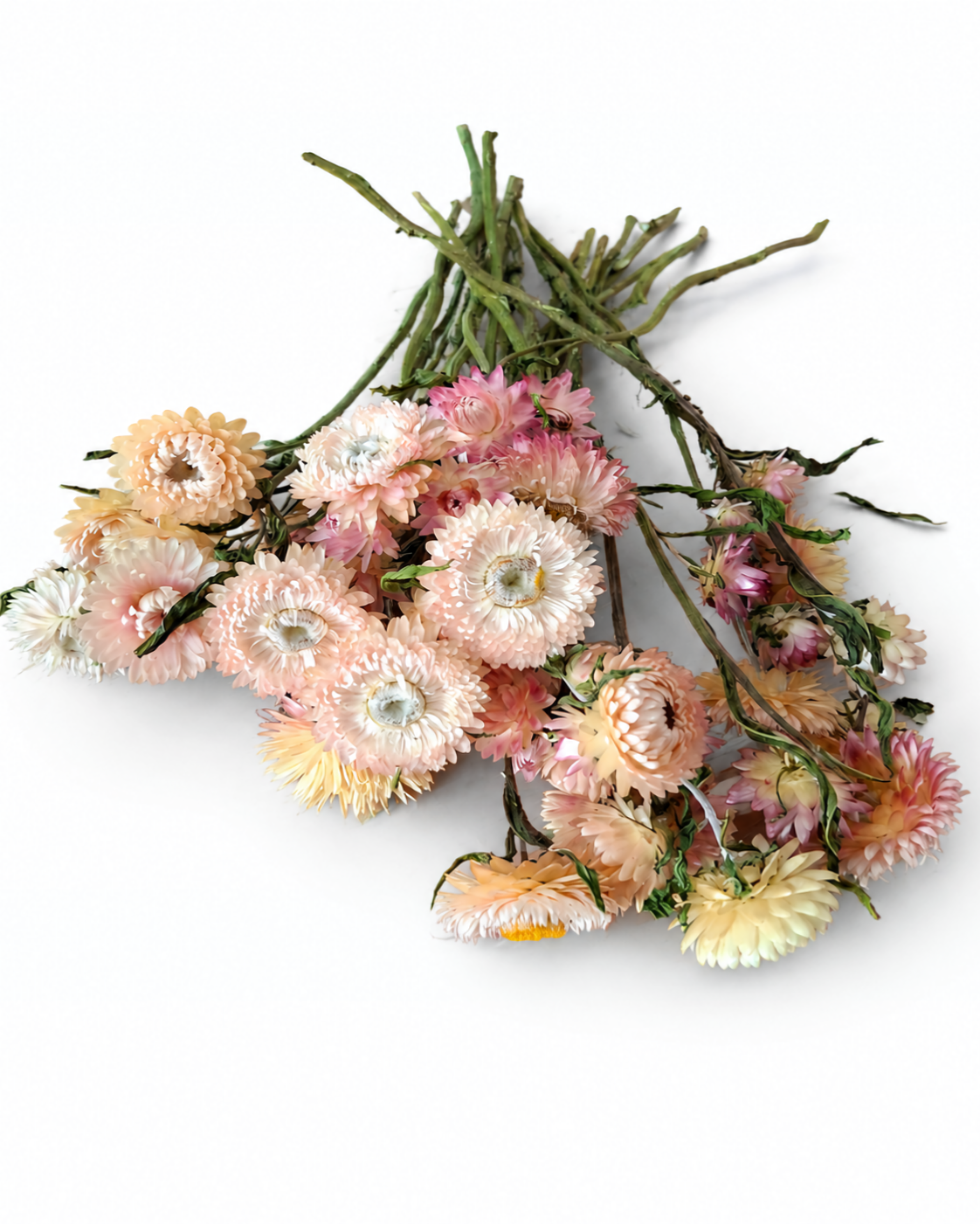 Naturally air-dried peach and pink Helichrysum flower stems, 20-25 pieces bundle, 30-35cm length for modern home styling.

