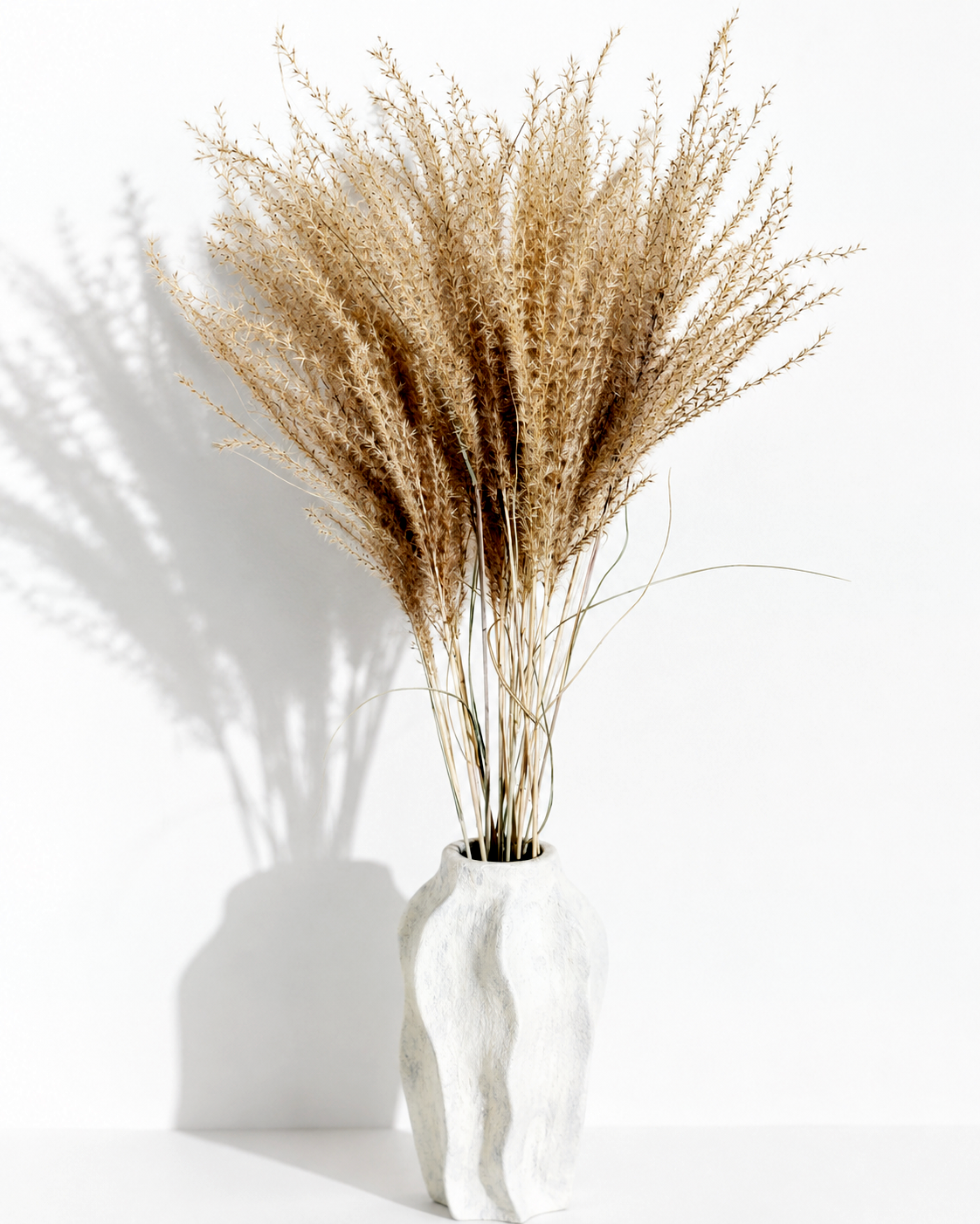 Tall natural beige Miscanthus arrangement styled in a textured white ceramic vase.
