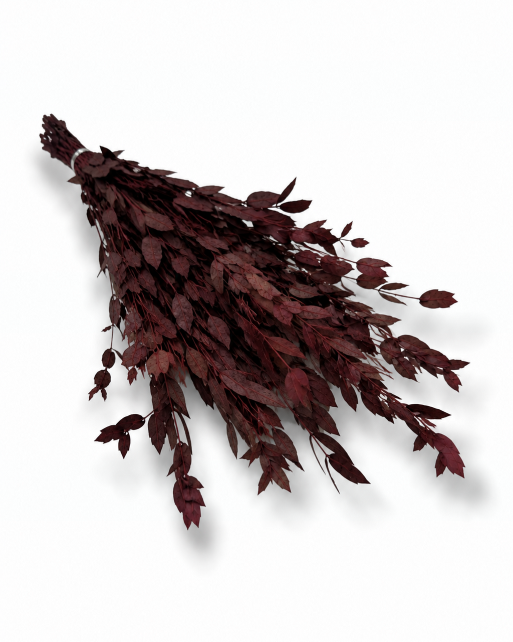 Naturally air-preserved deep burgundy Eucalyptus Parvifolia branches, 5-6 pieces pack, 40-50cm height for elegant rustic interior decoration.
