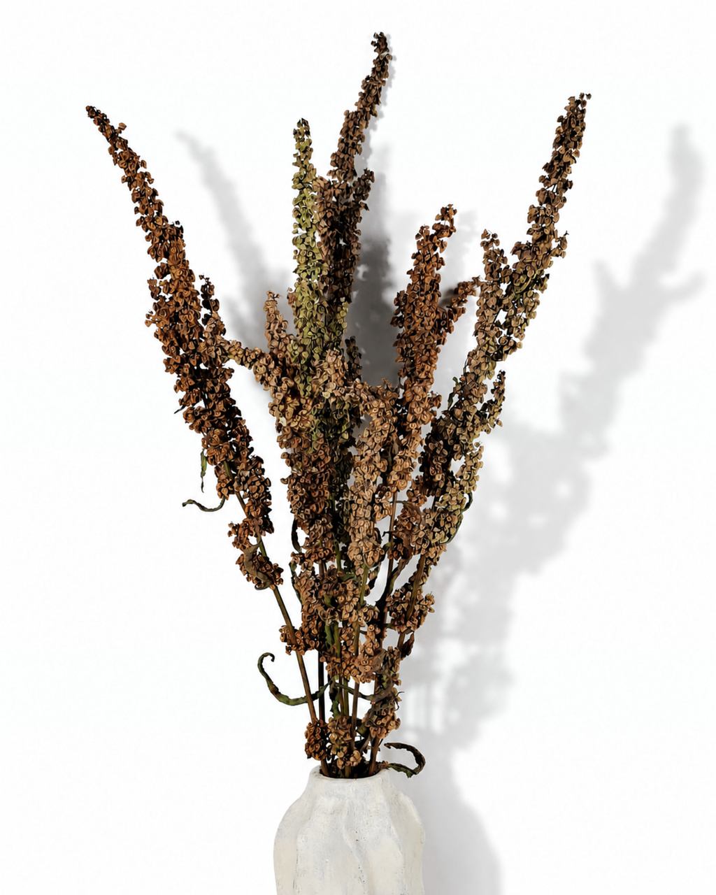 Wild dried dock stems with muted green and brown seed pods displayed in a white ceramic vase.
