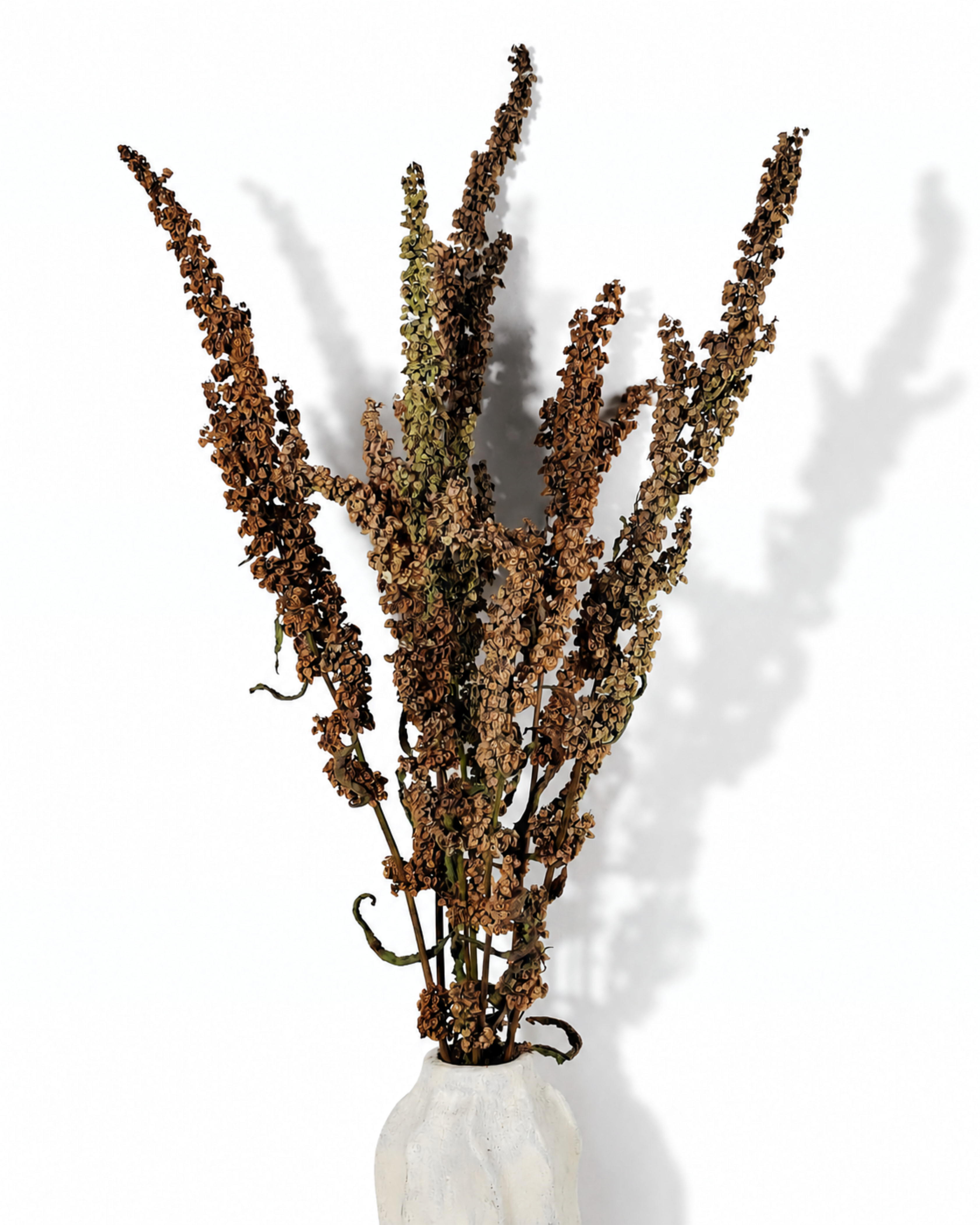 Wild dried dock stems with muted green and brown seed pods displayed in a white ceramic vase.
