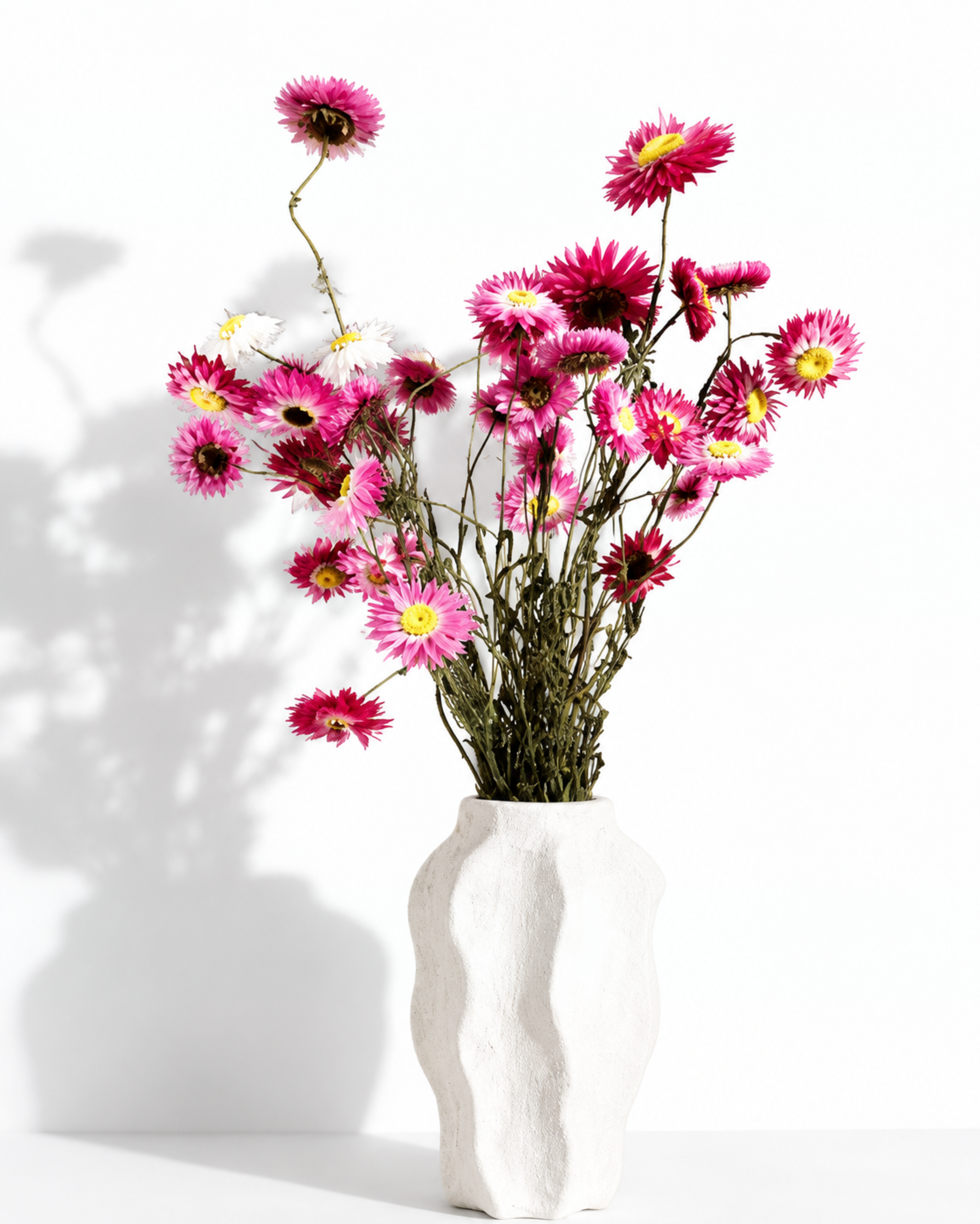 Full length view of bright pink preserved Helichrysum stems styled in a textured white ceramic vase.
