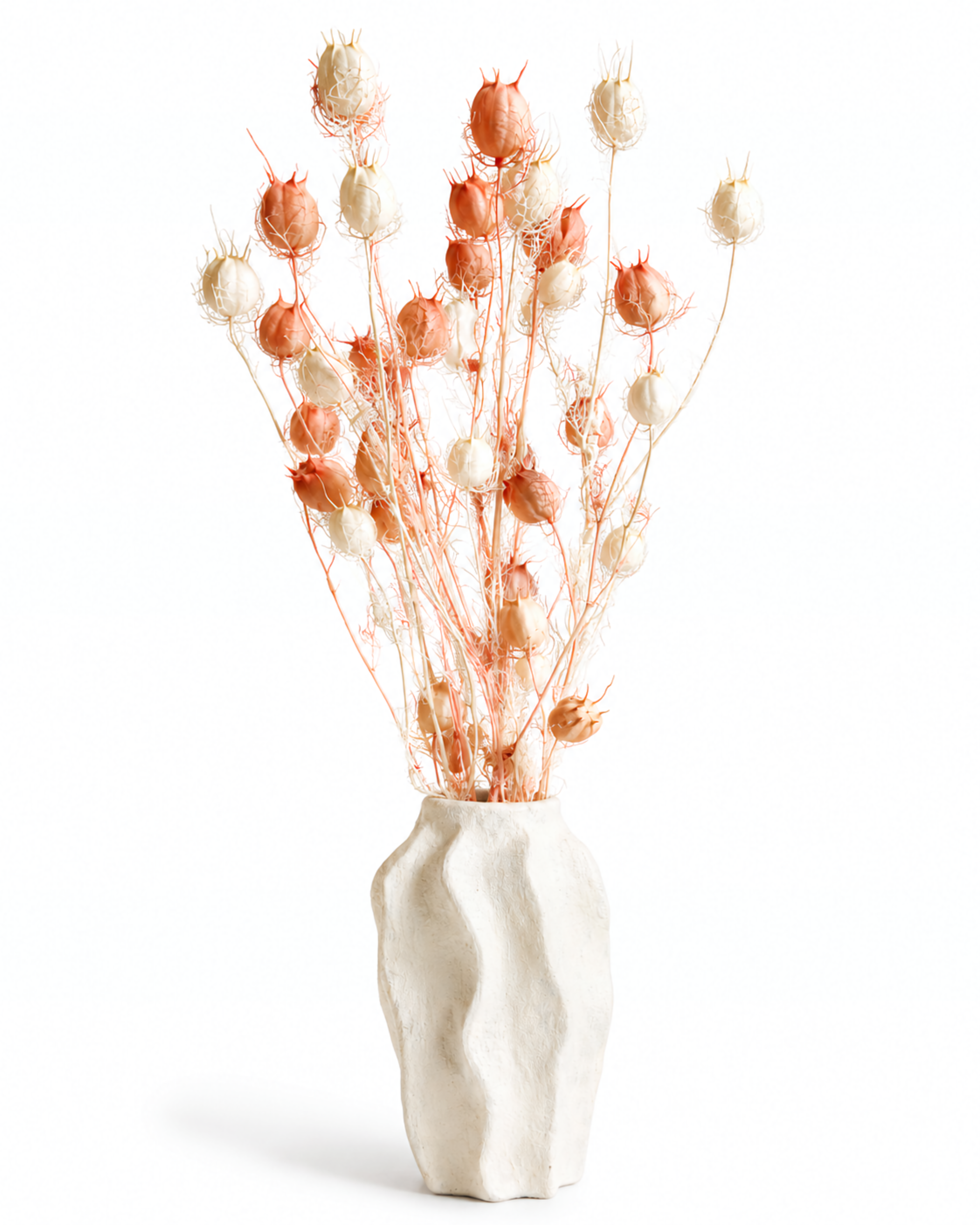 Full view of 5-6 preserved white and light pink Nigella stems styled in a textured white vase.
