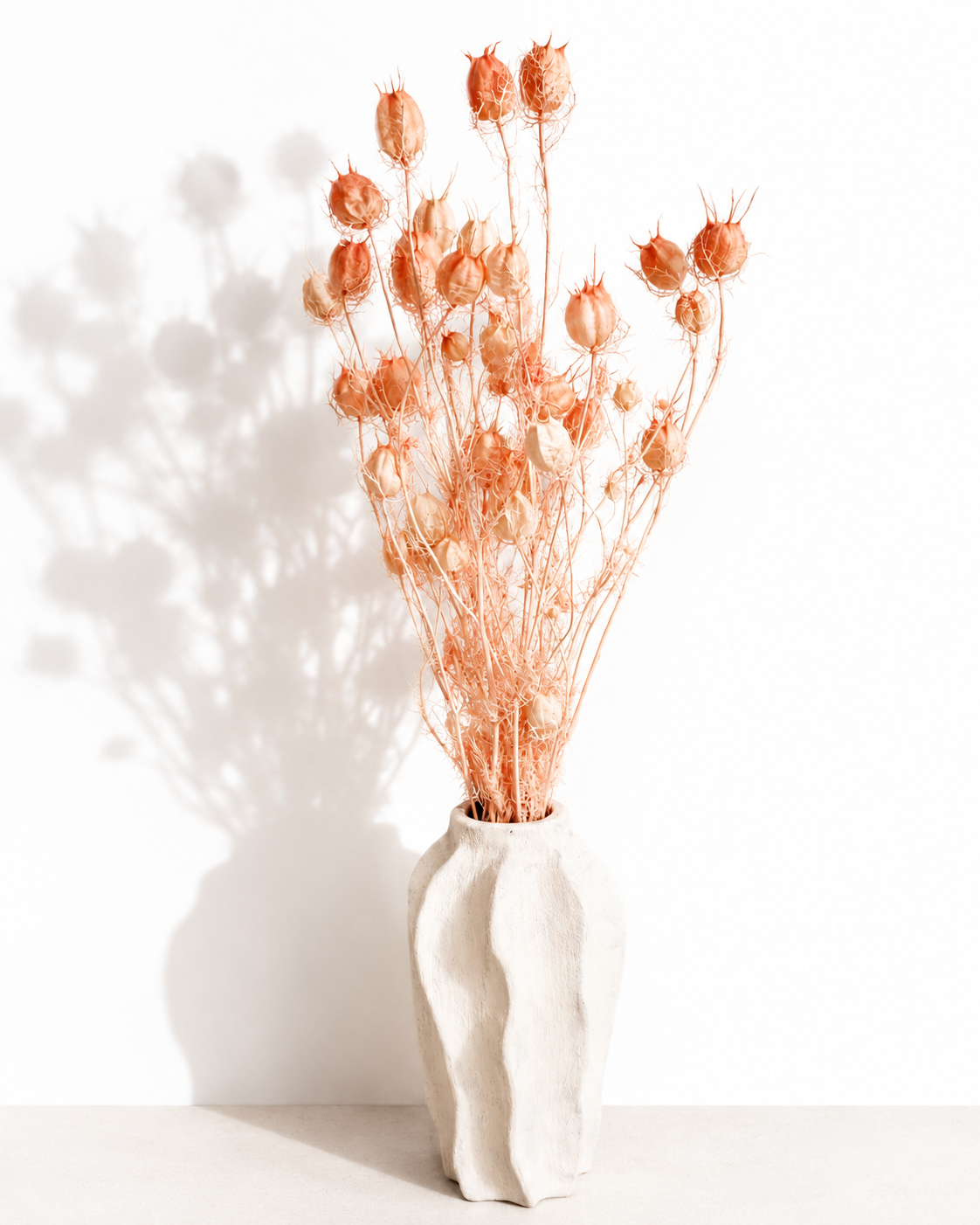 Blush Pink Nigella Pods