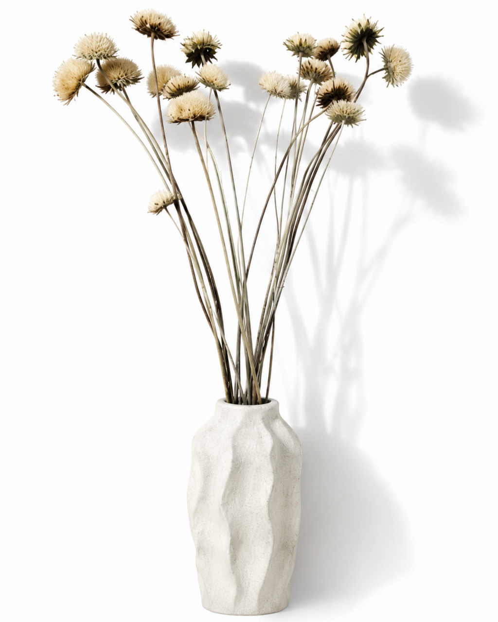 Natural Dried Thistle Stems