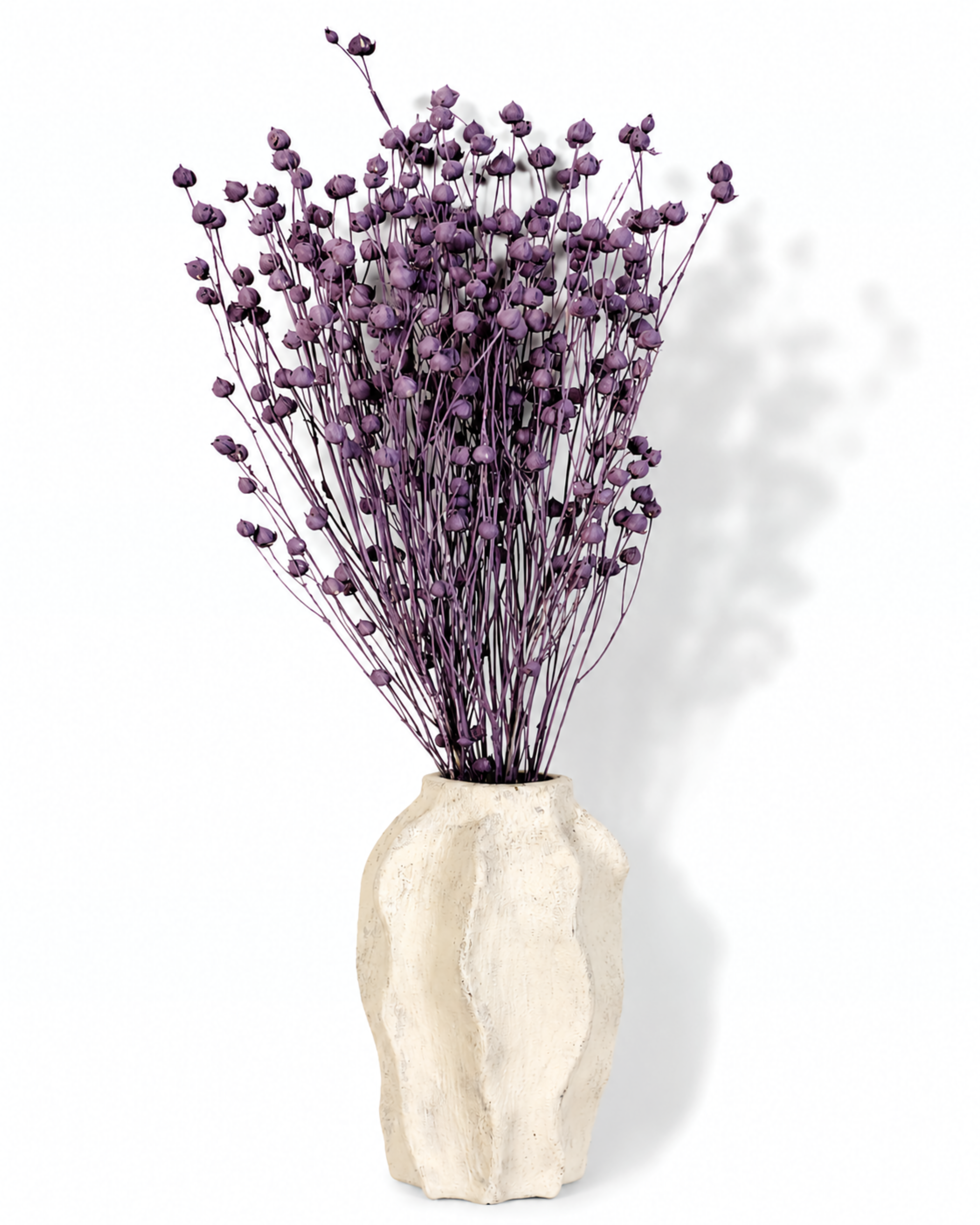 Purple Flax Stems