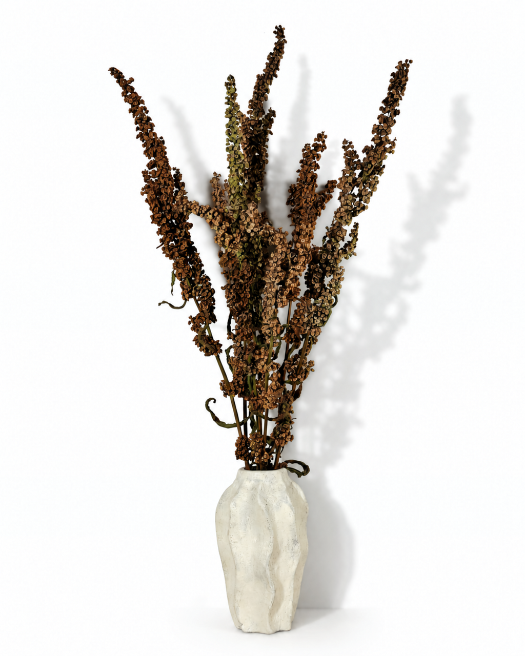 Wild Dock Dried Stems
