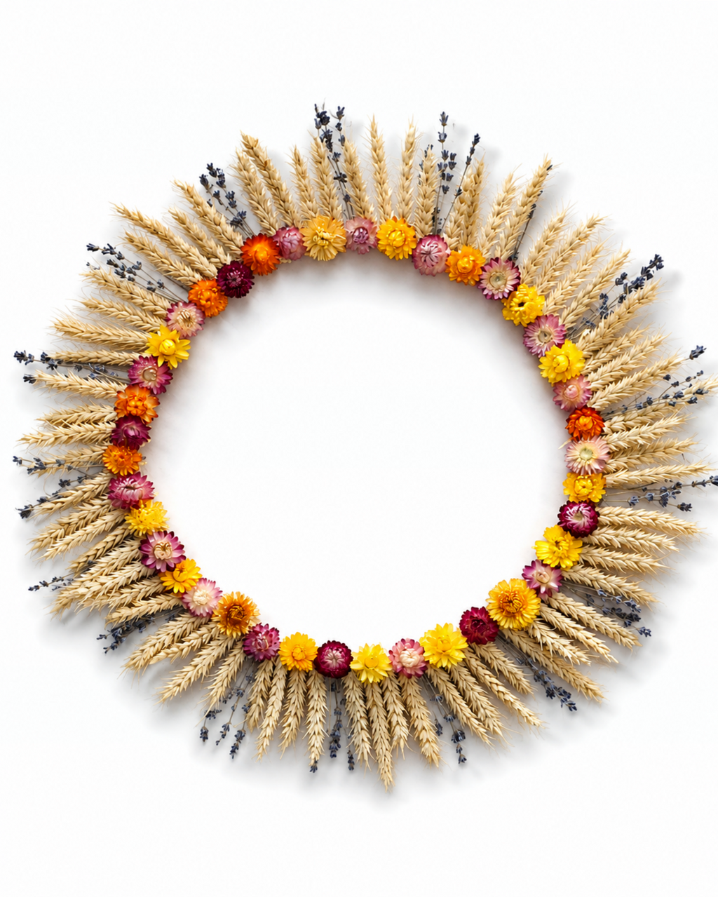 Front view of a circular dried flower wall wreath with wheat, lavender, and colorful strawflowers.
