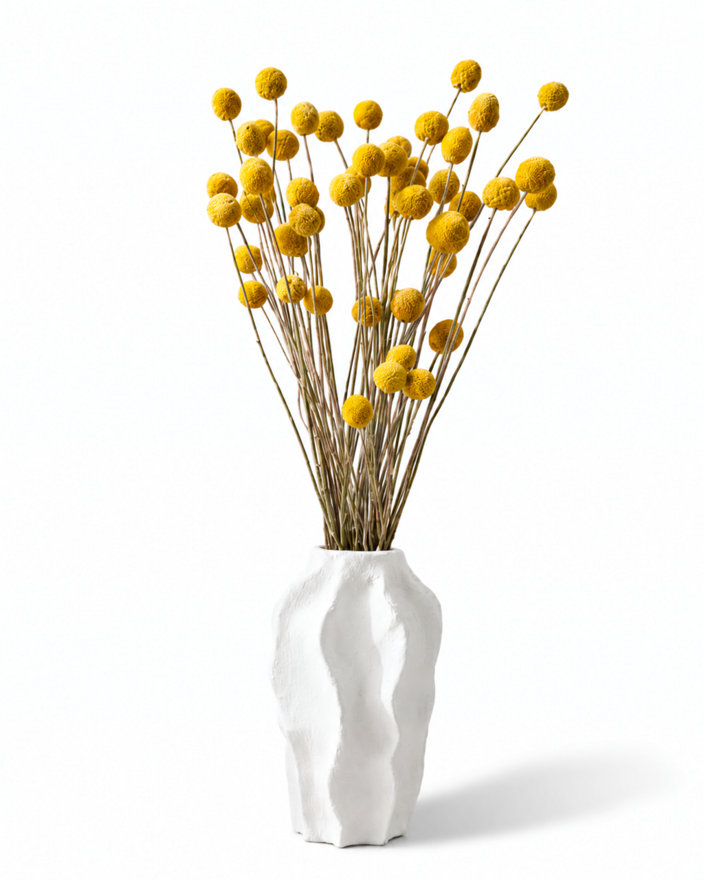 Bundle of 25 yellow dried Craspedia billy balls displayed in a white ceramic vase.
