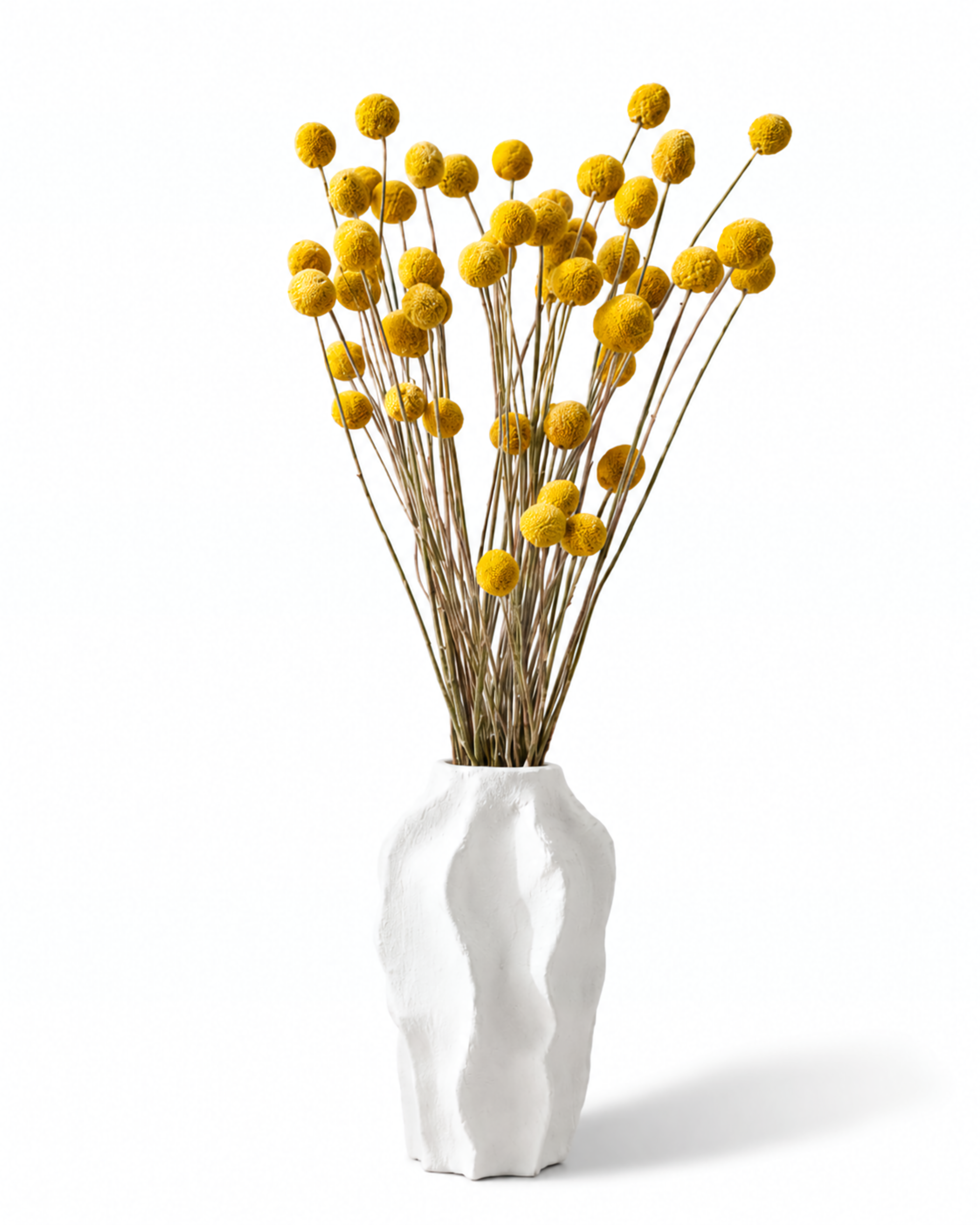 Craspedia Dried Flower Bouquet