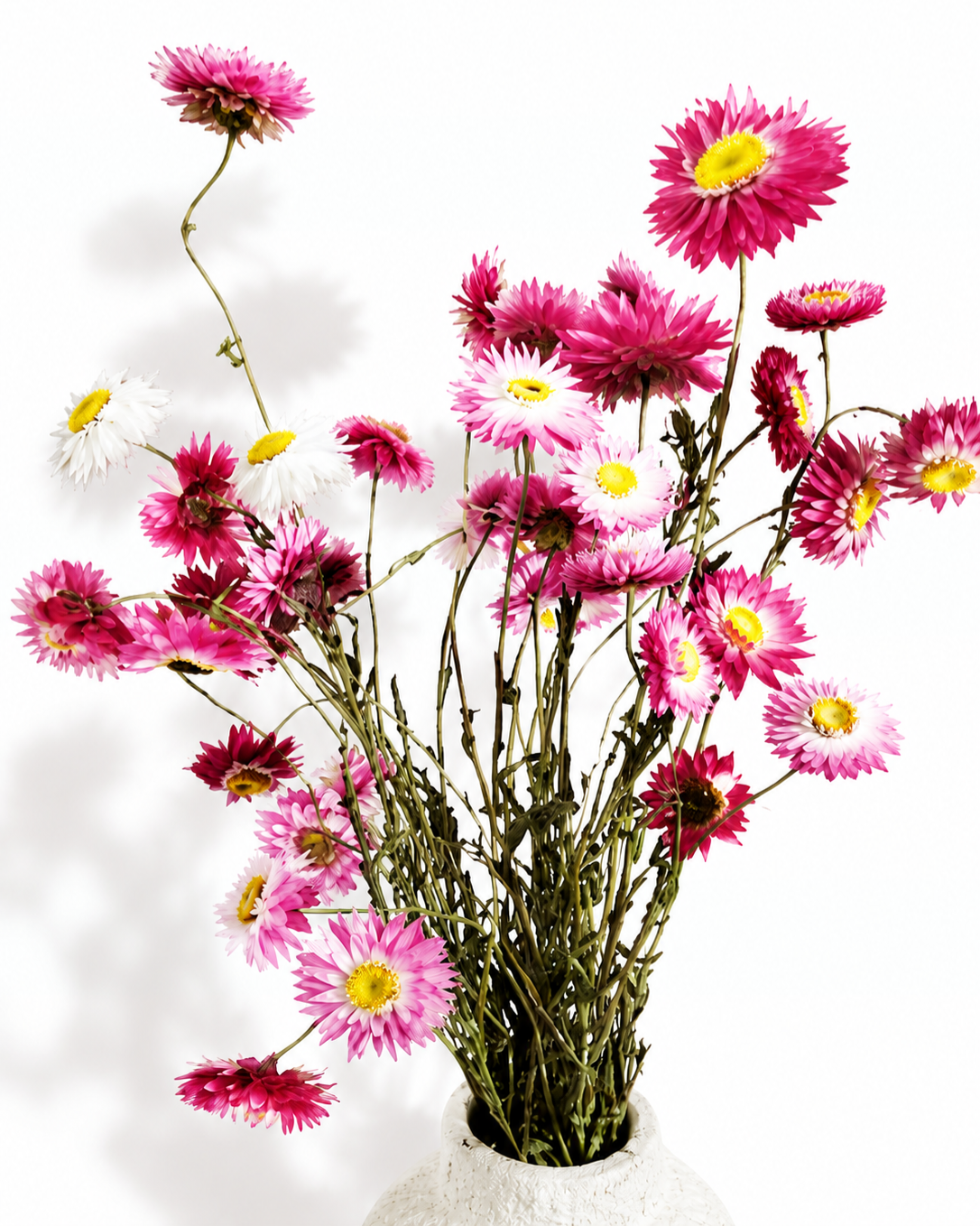 Upper bundle view of bright pink preserved Helichrysum stems arranged in a ceramic vase.
