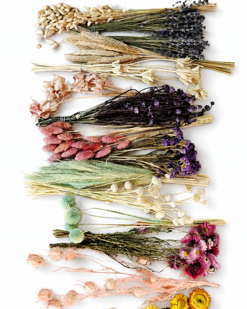 Dried Flower Box