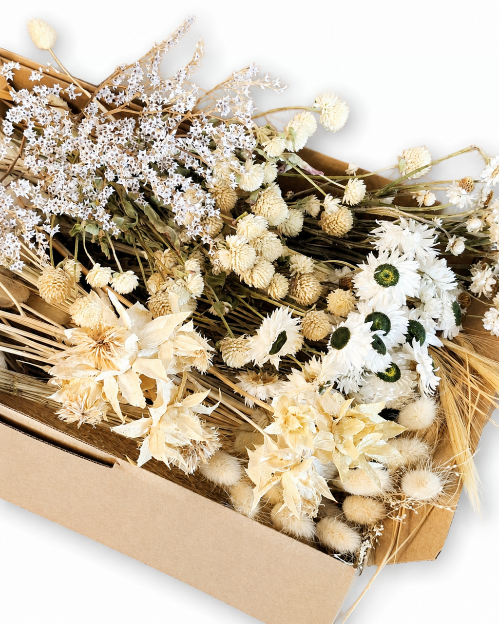 Natural Dried Flower Box for Crafts