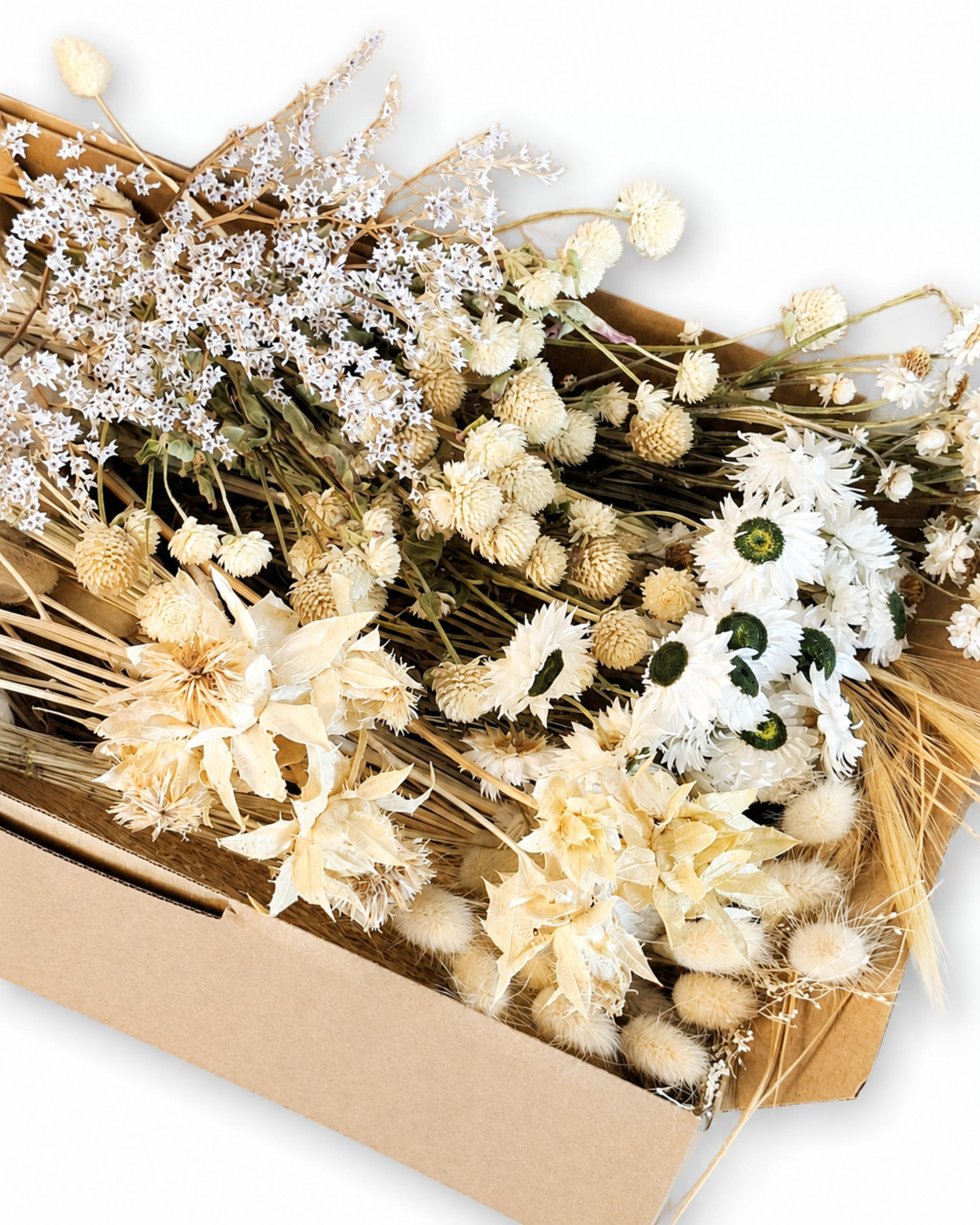 Natural Dried Flower Box for Crafts