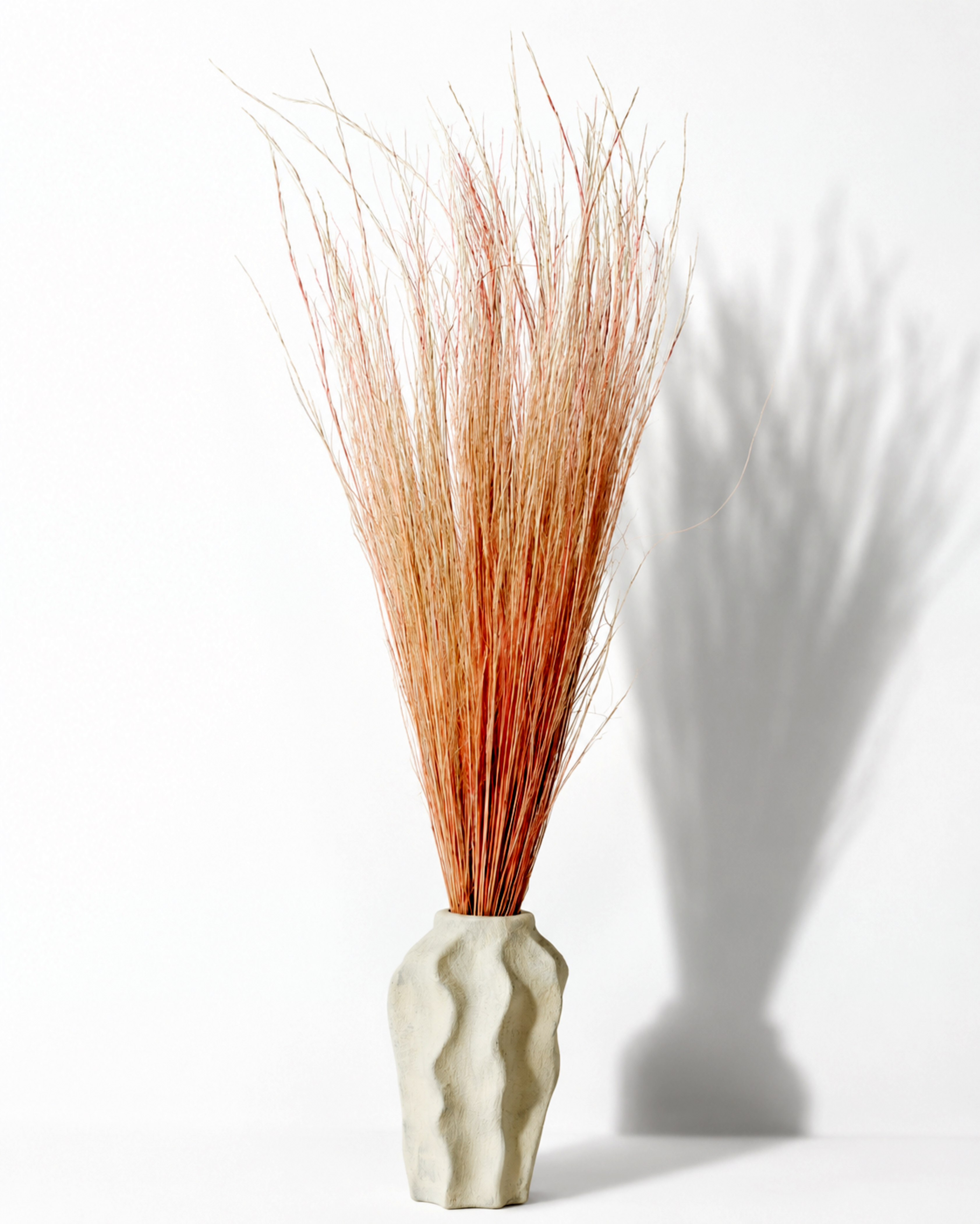 Peach Coral Pony Grass