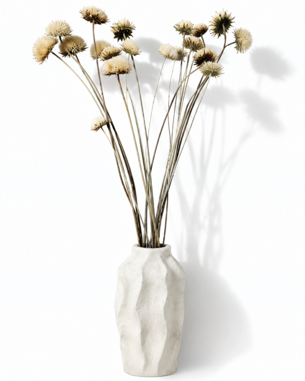 Natural Dried Thistle Stems