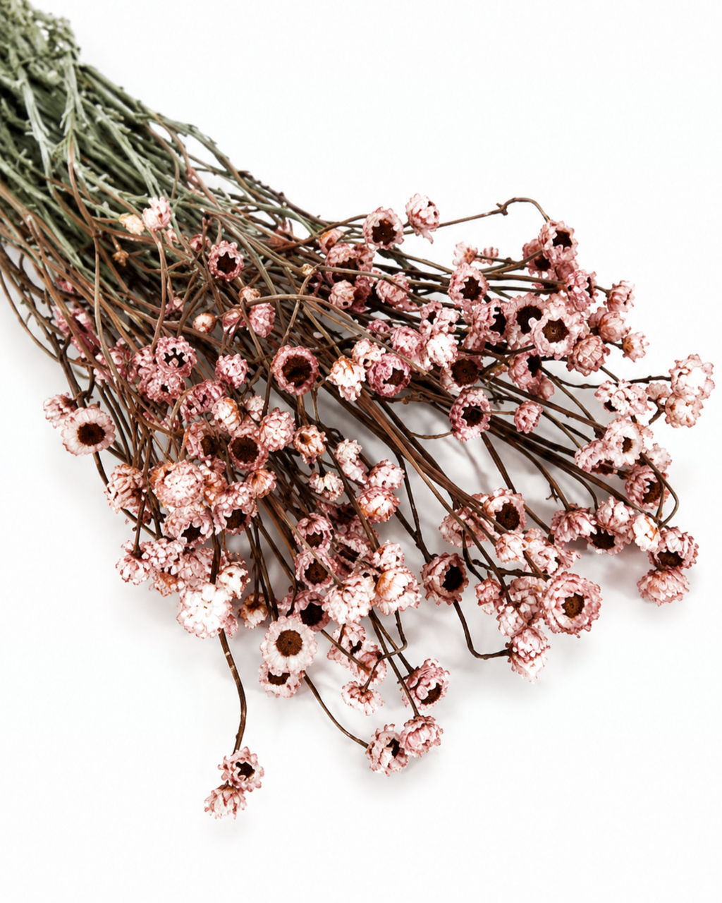 Dusty Rose Dried Flower Bouquet