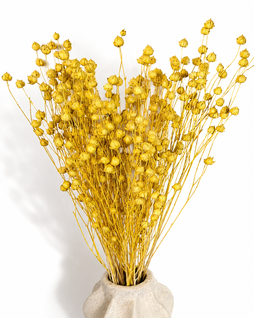 Yellow Dried Flax Stems