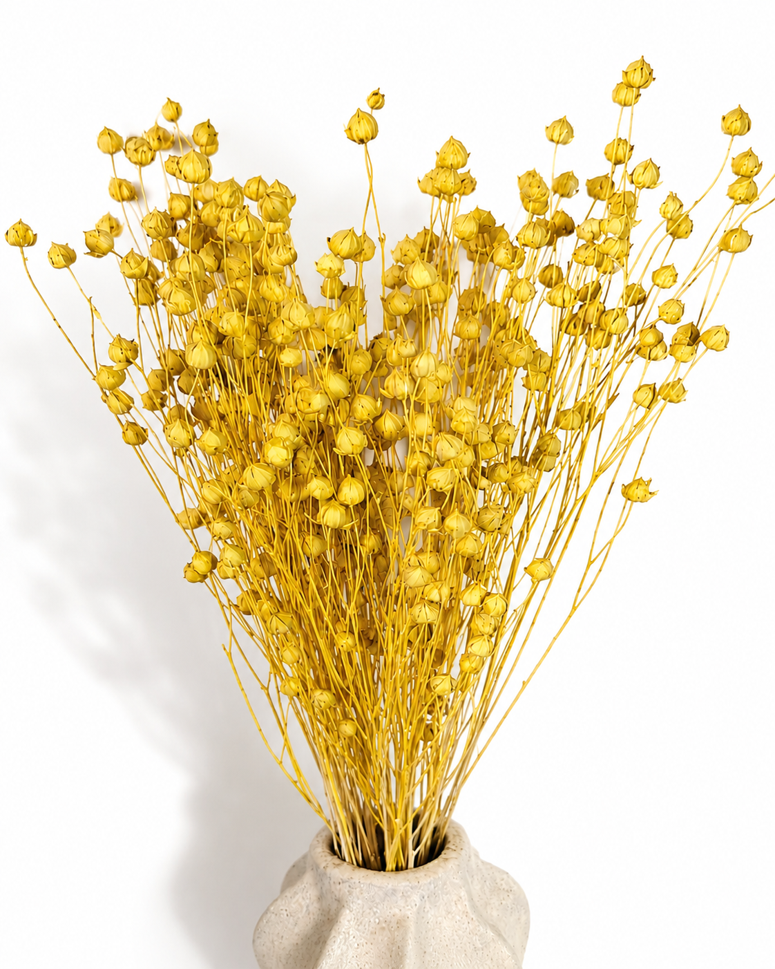 Yellow Dried Flax Stems