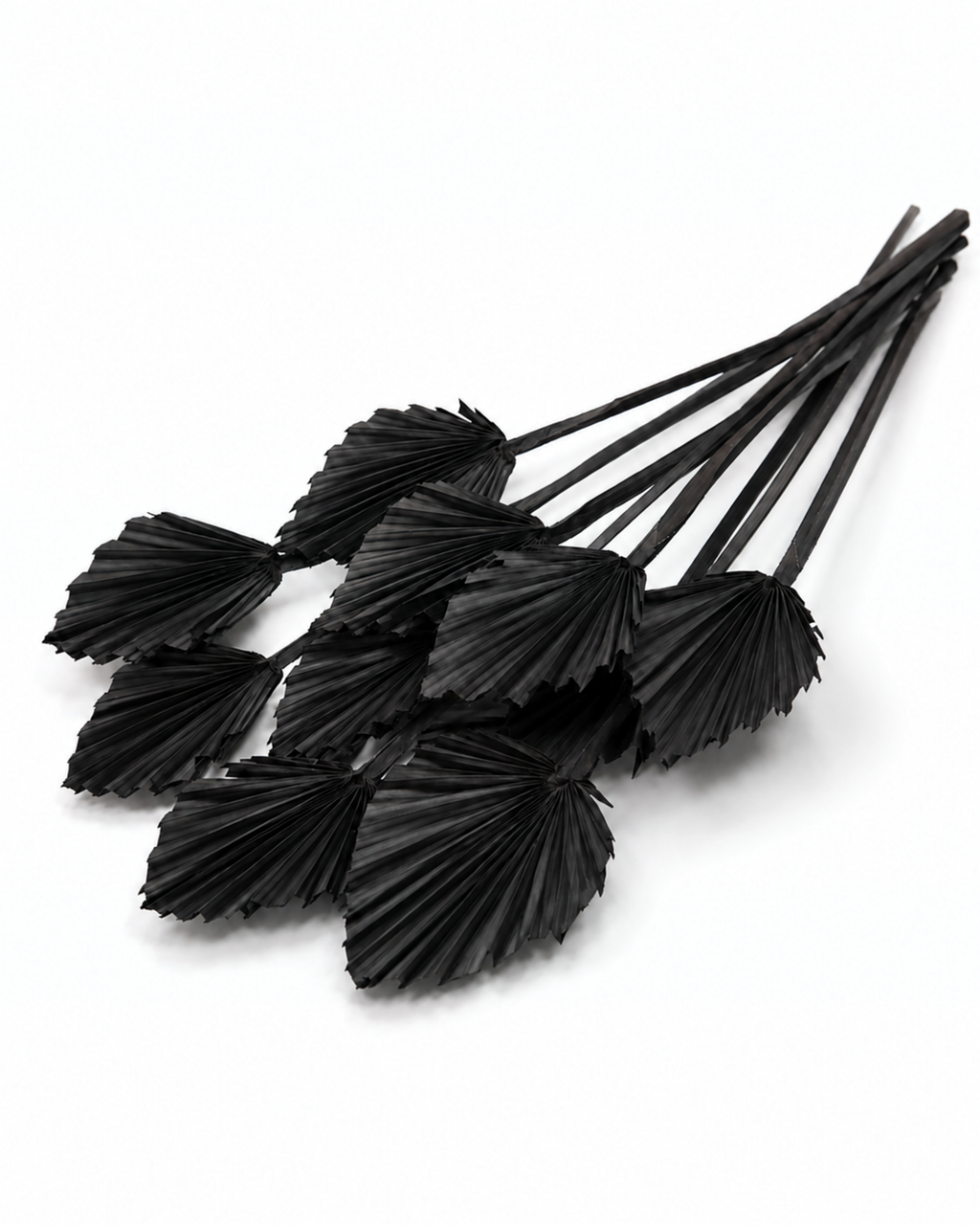 Black Dried Palm Spear Leaves