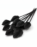 Black Dried Palm Spear Leaves