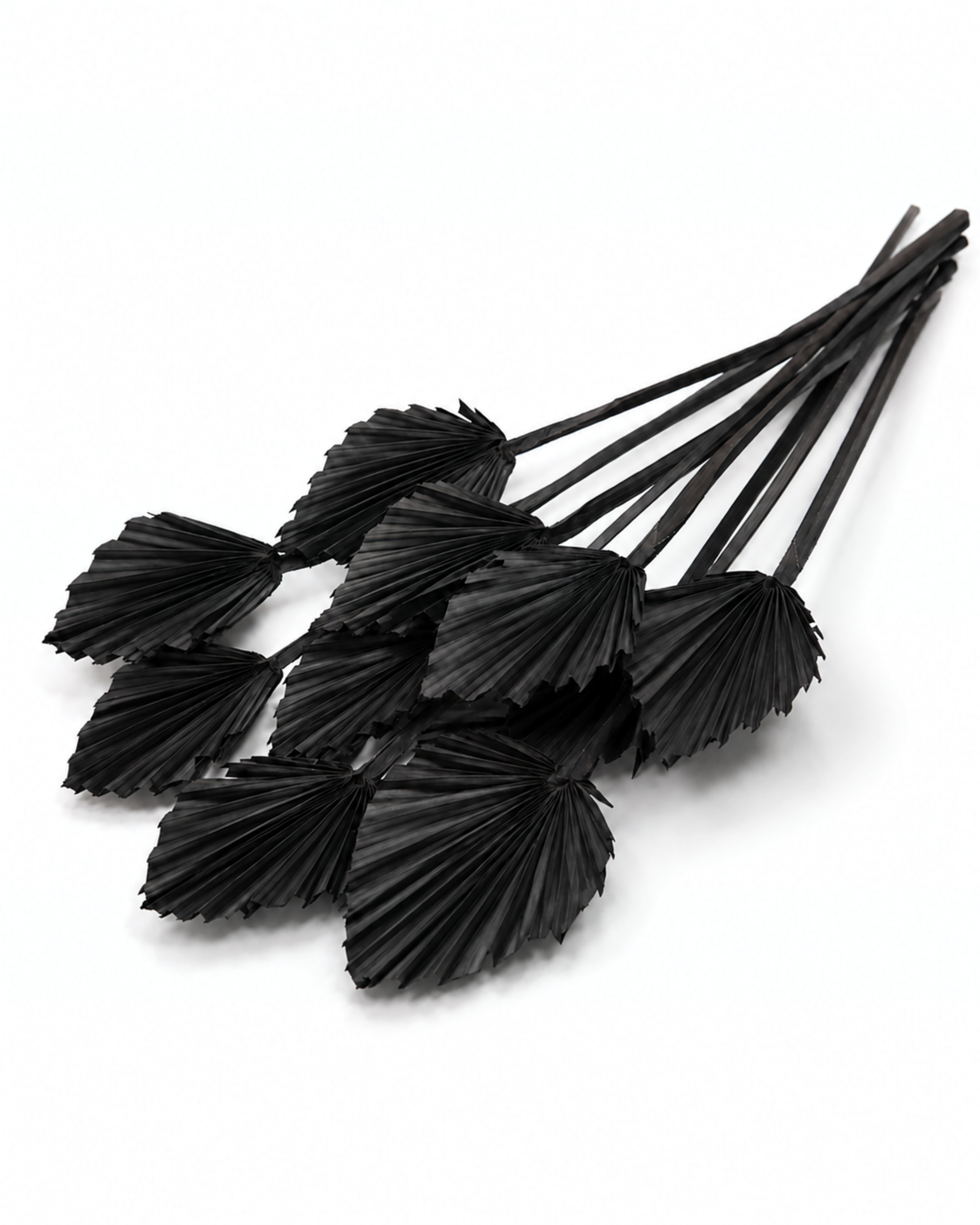 Black Dried Palm Spear Leaves