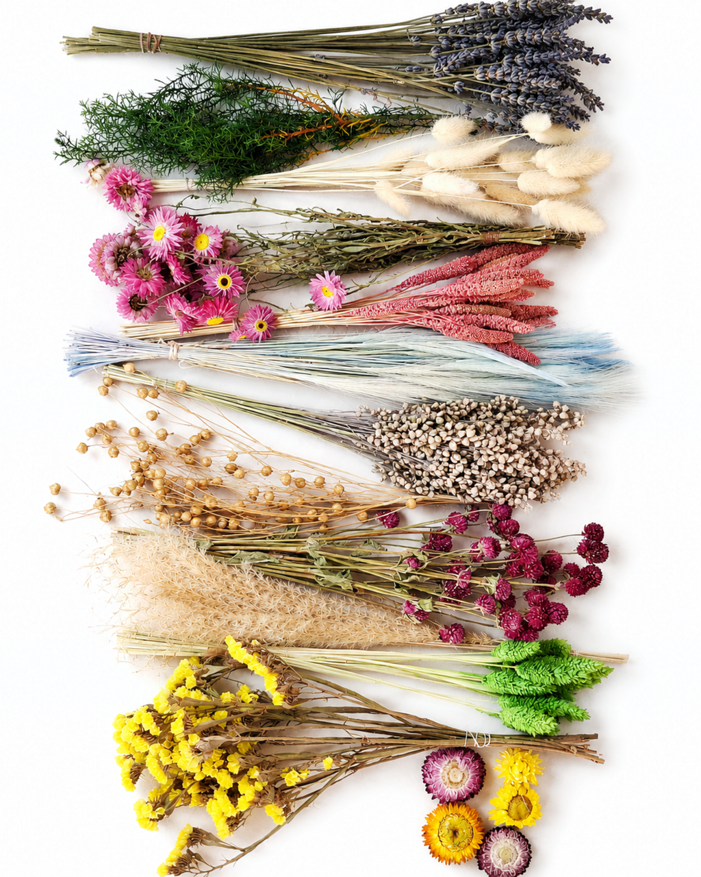 Dried Flower Box