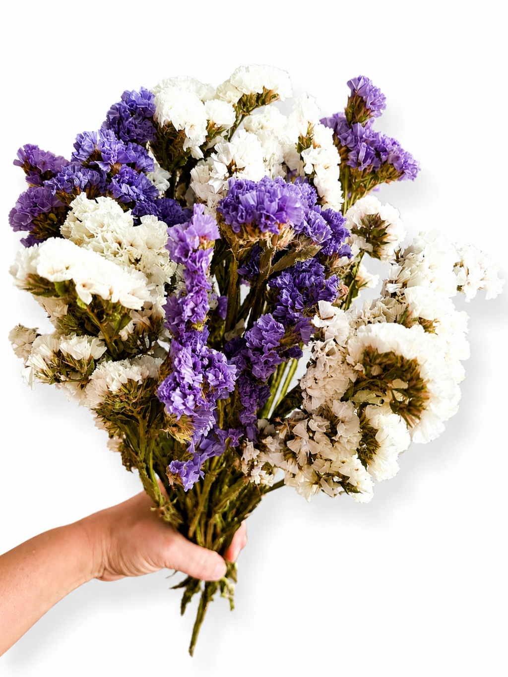 Premium dried purple and white statice mixed bunch 100g for professional florist decor