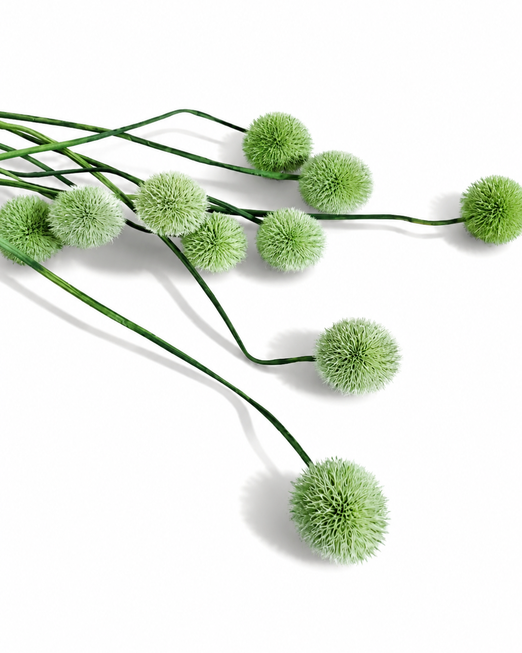 Green Globe Thistle Stems