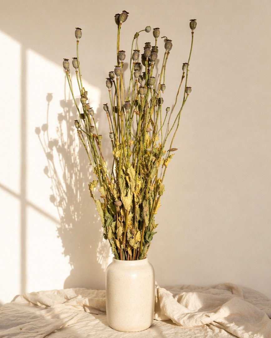 Natural Dried Poppy Pods Bouquet