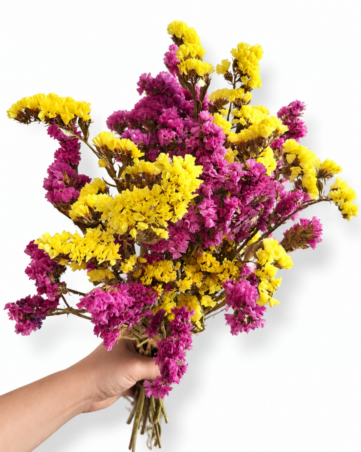 Hand holding a 100g bouquet of mixed yellow and vibrant pink dried Statice flowers.
