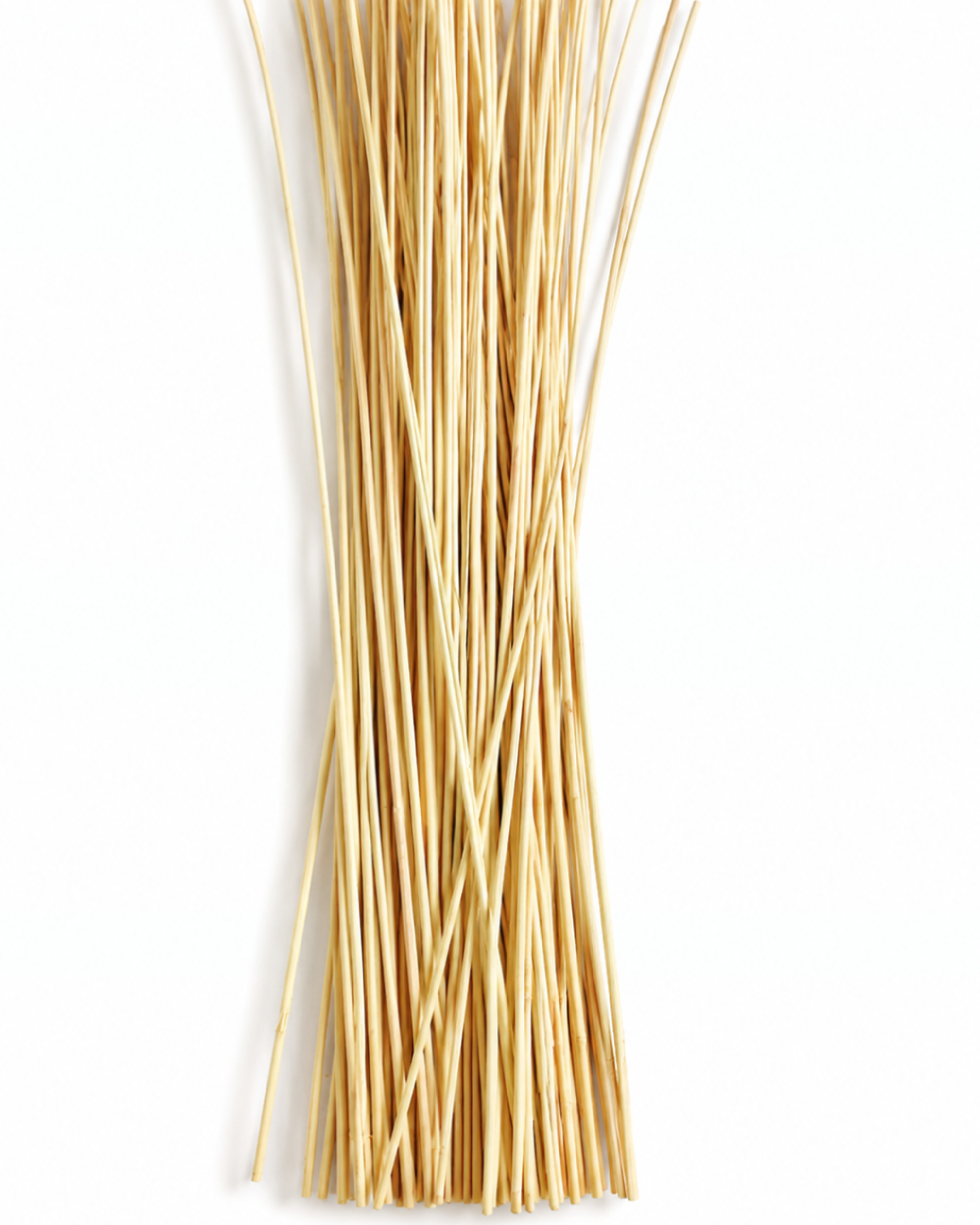 Wholesale bulk warm yellow dried grass stems for commercial floral installations and events
