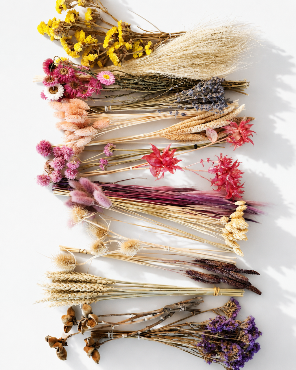 Wildflower Dried Flower Box for Crafts