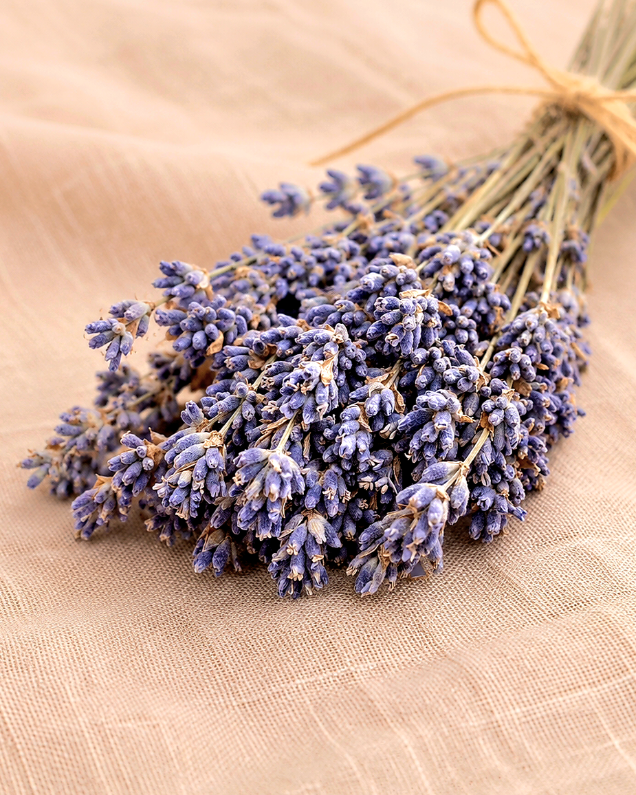 Dried Lavender
