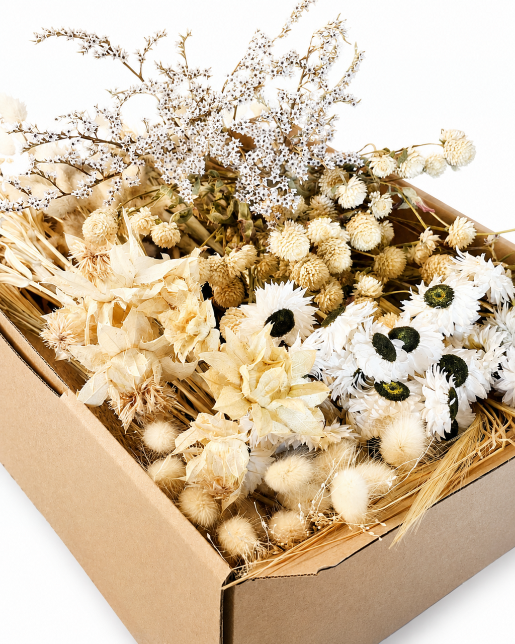 Natural Dried Flower Box for Crafts