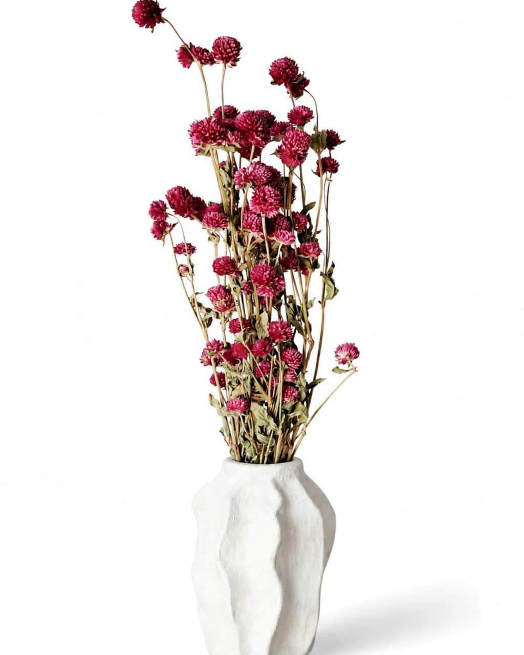 Vibrant pink dried Gomphrena flower bundle displayed upright in a textured white ceramic vase.
