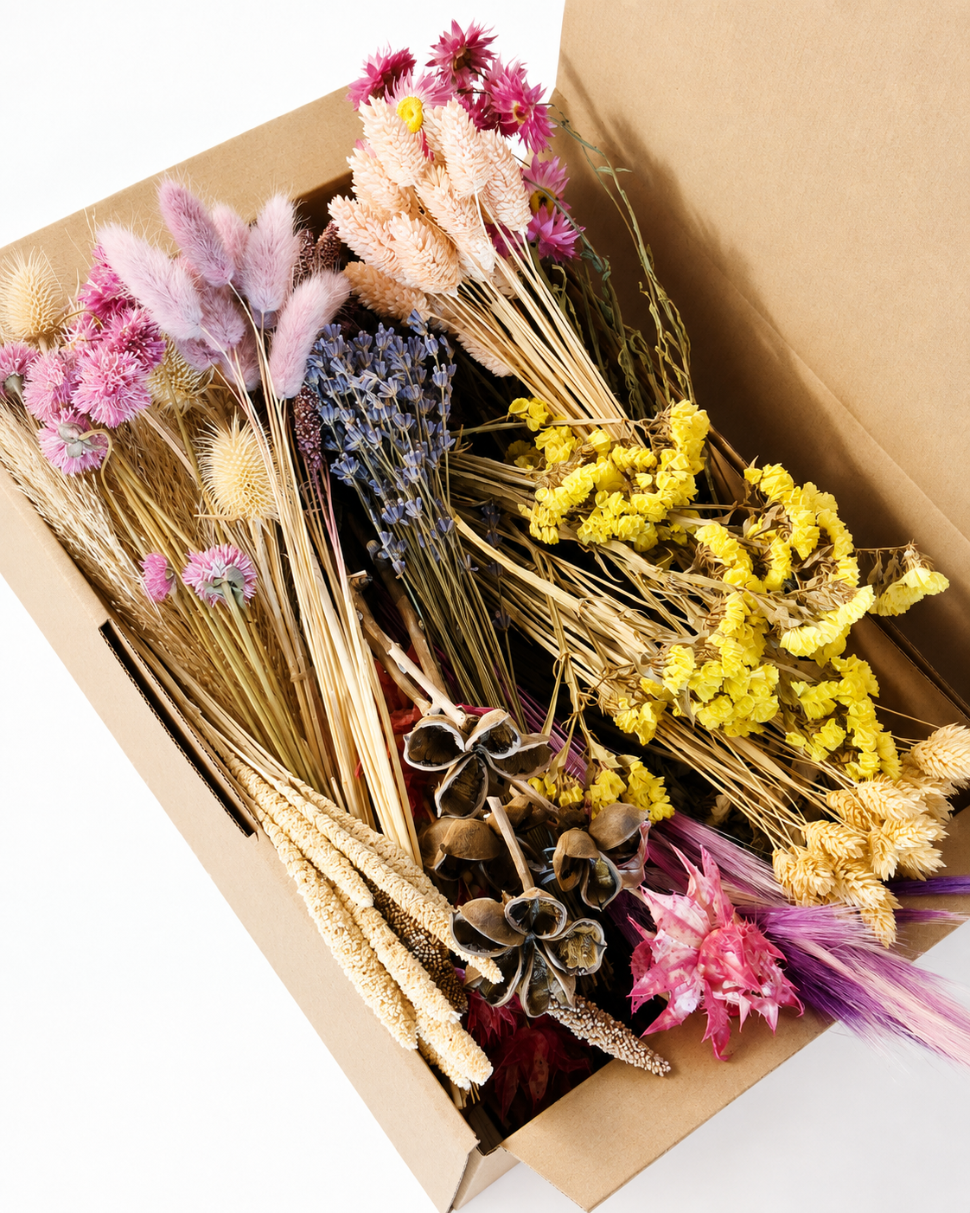 Wildflower Dried Flower Box for Crafts