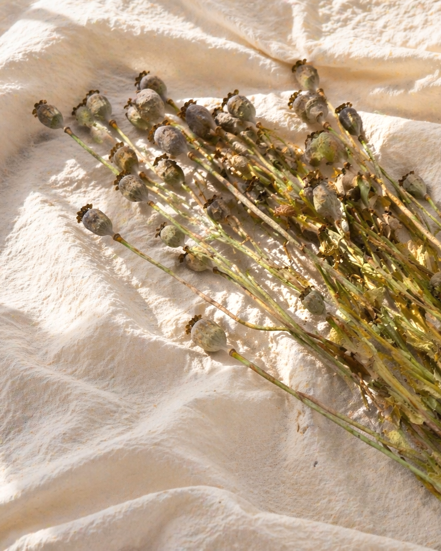 Natural Dried Poppy Pods Bouquet