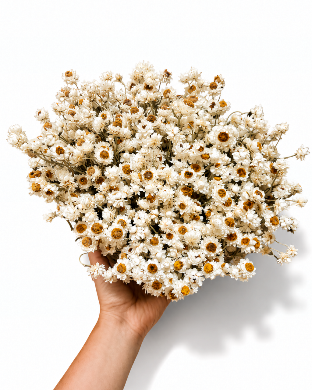 Dried Flower Basket