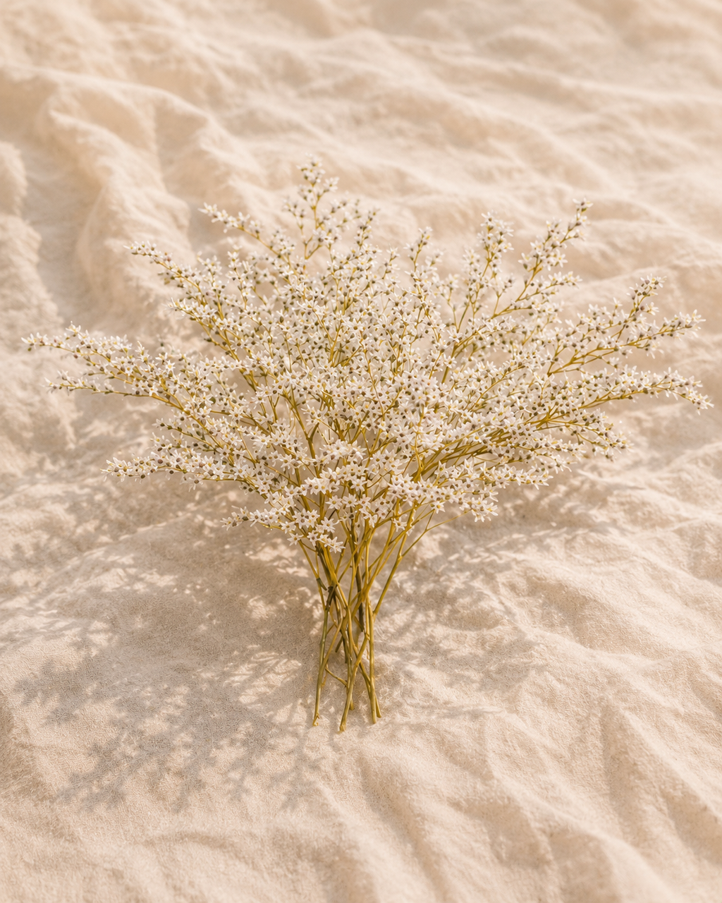 Tatar Limonium Stems
