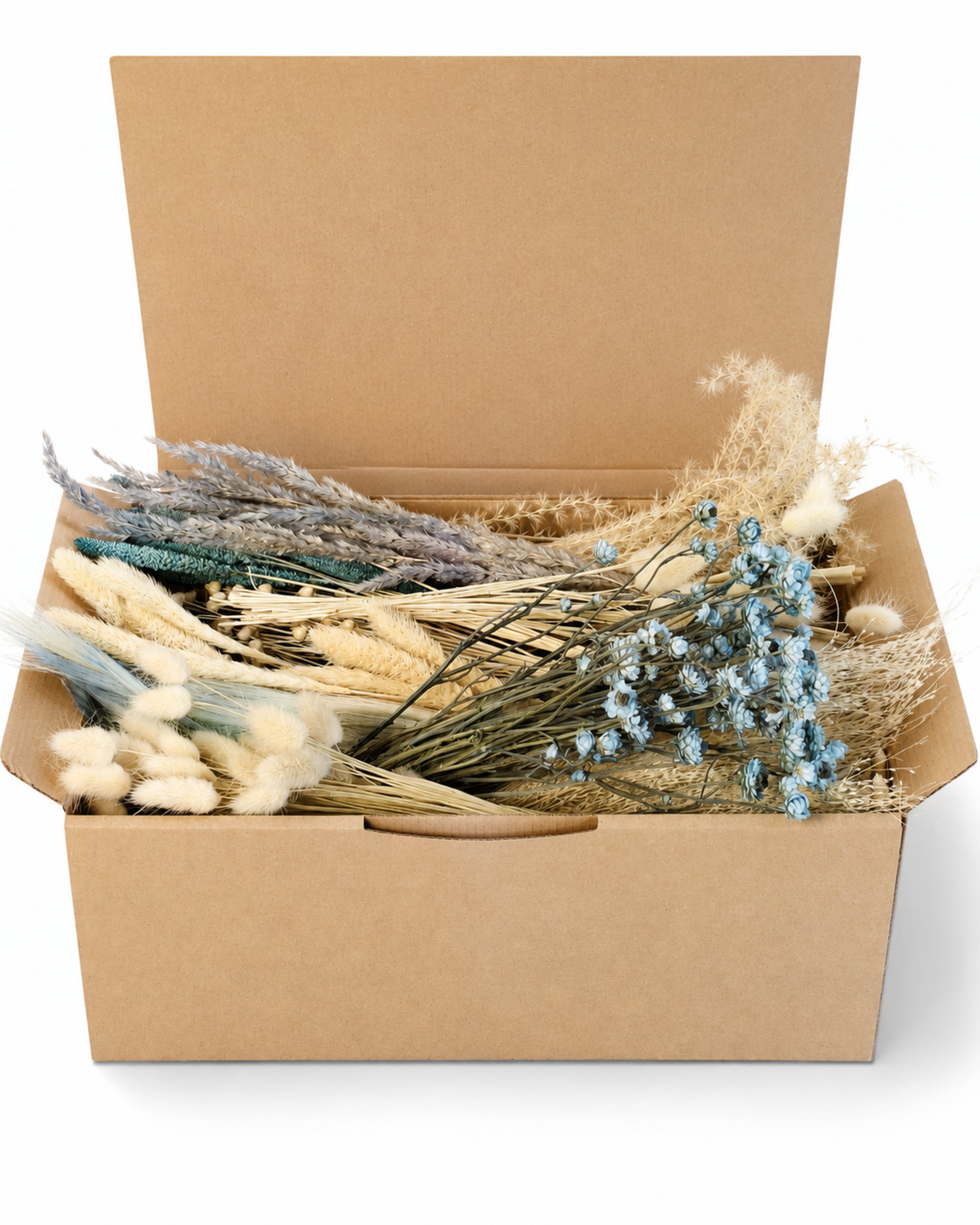 Beige & Blue Dried Flower Box for Crafts