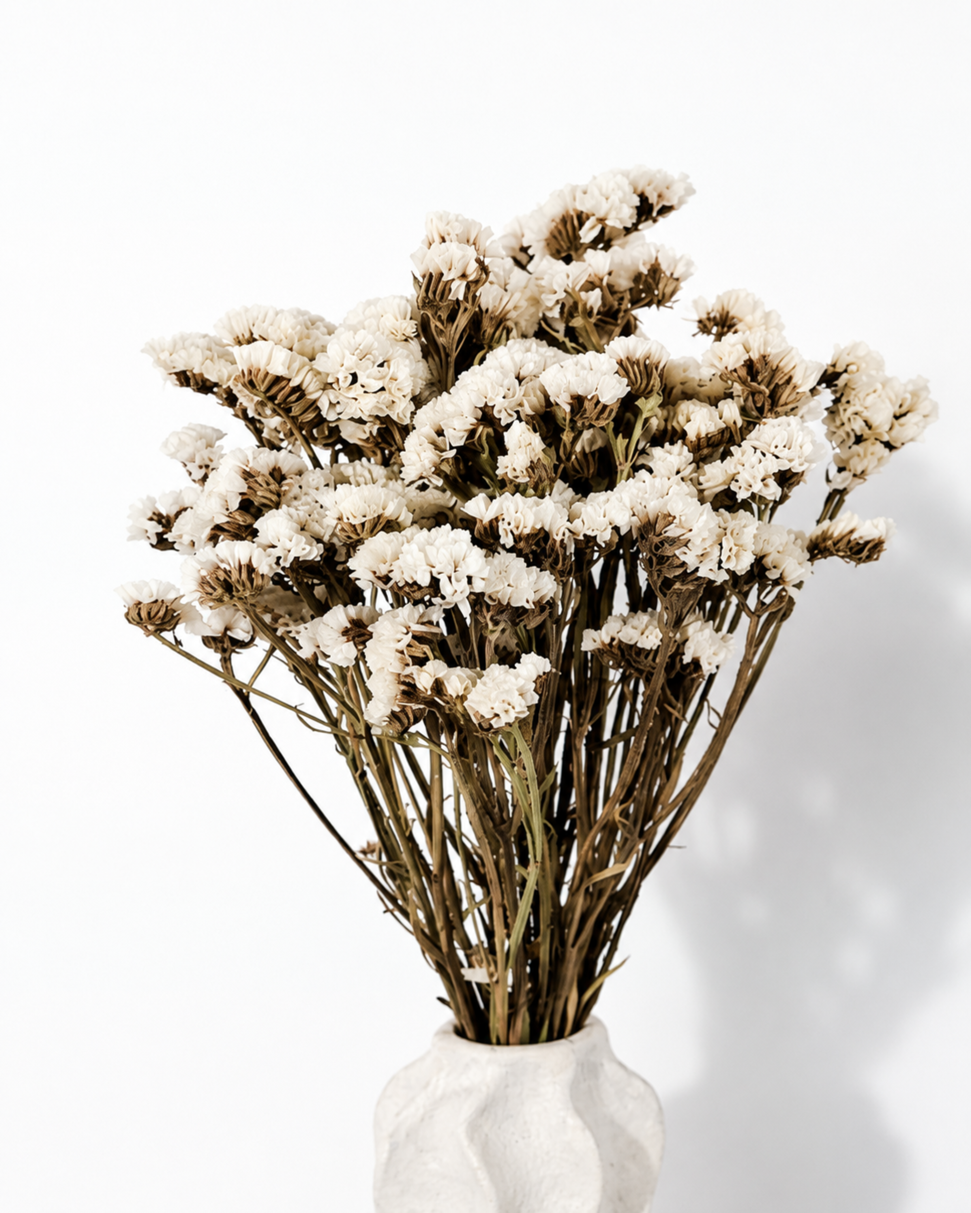 White Statice Bouquet