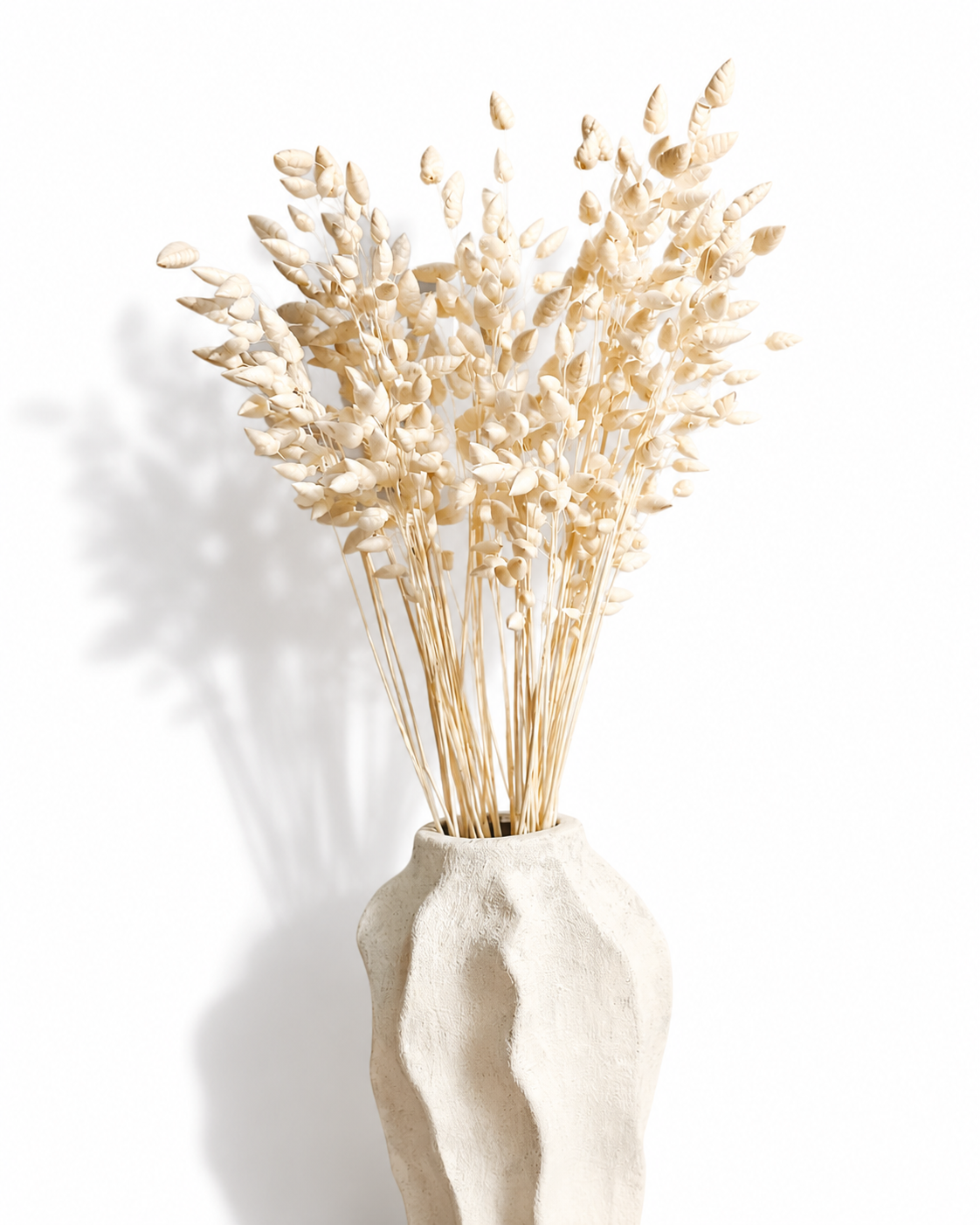 Airy texture of bleached quaking grass bundle in hand for modern minimalist design video showcase